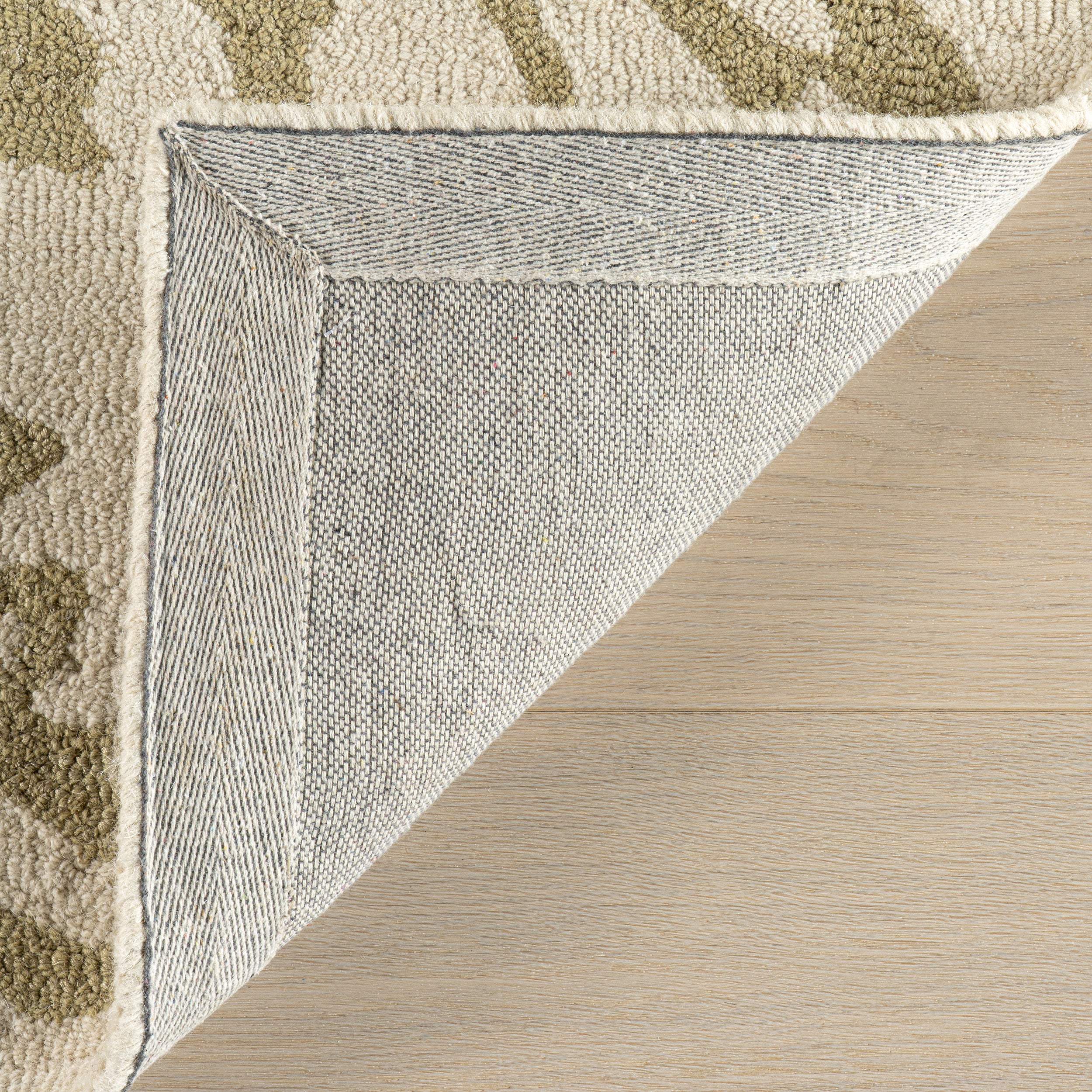 Nuloom Virelia Transitional Floral and Paisley Area Rug - Image 8