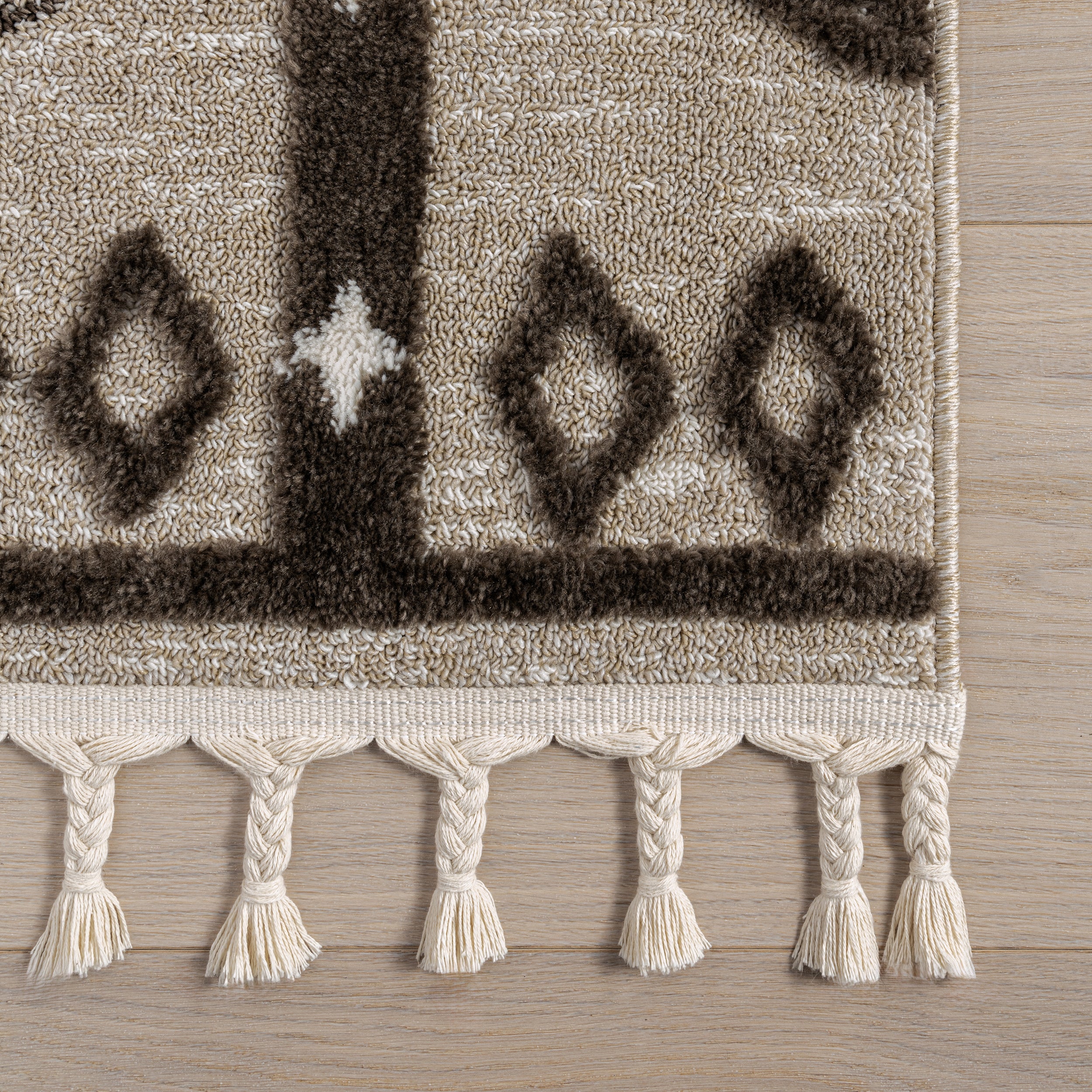 Autumn Geometric Tasseled Area Rug - Image 6