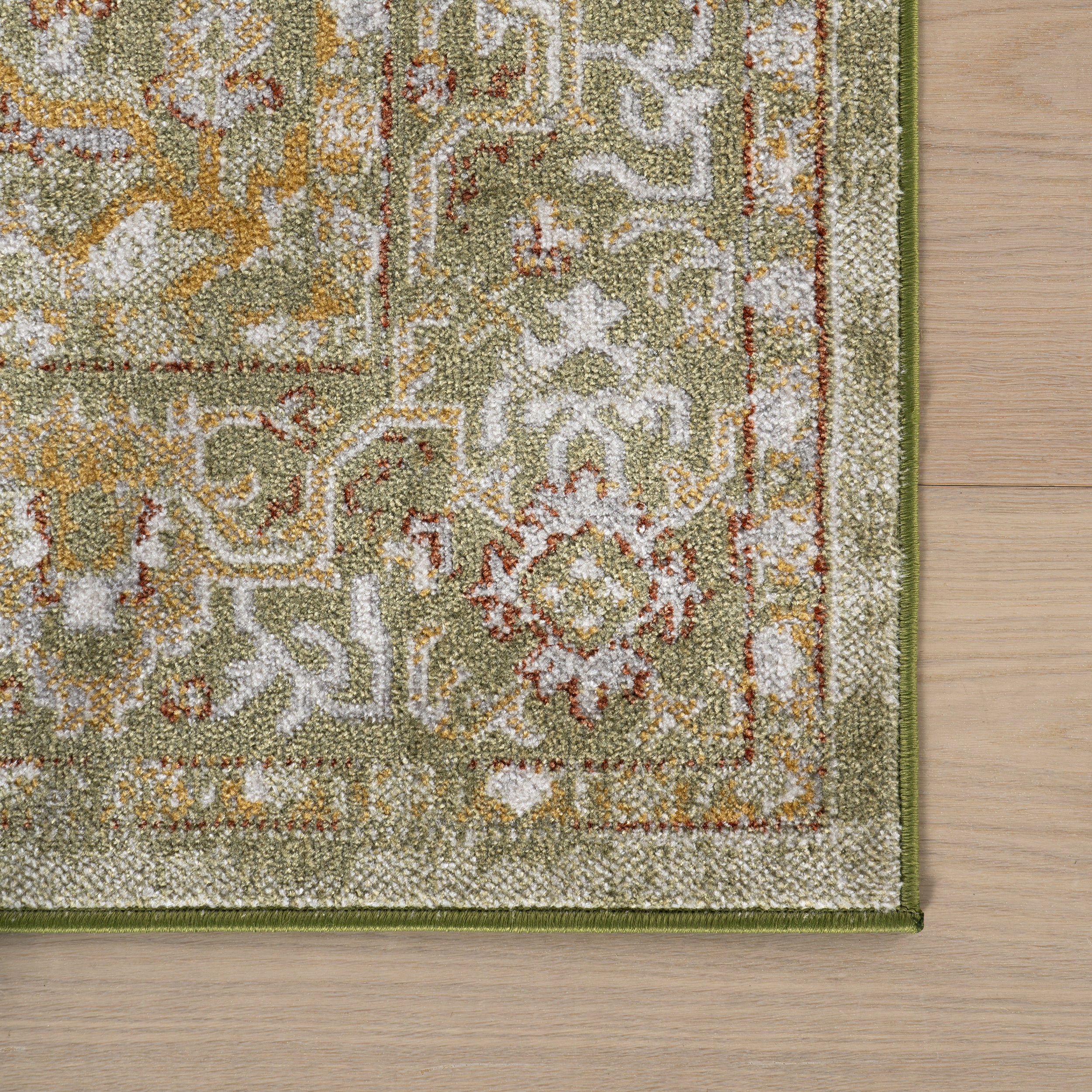 Cady Machine Washable Transitional Area Rug - Image 17
