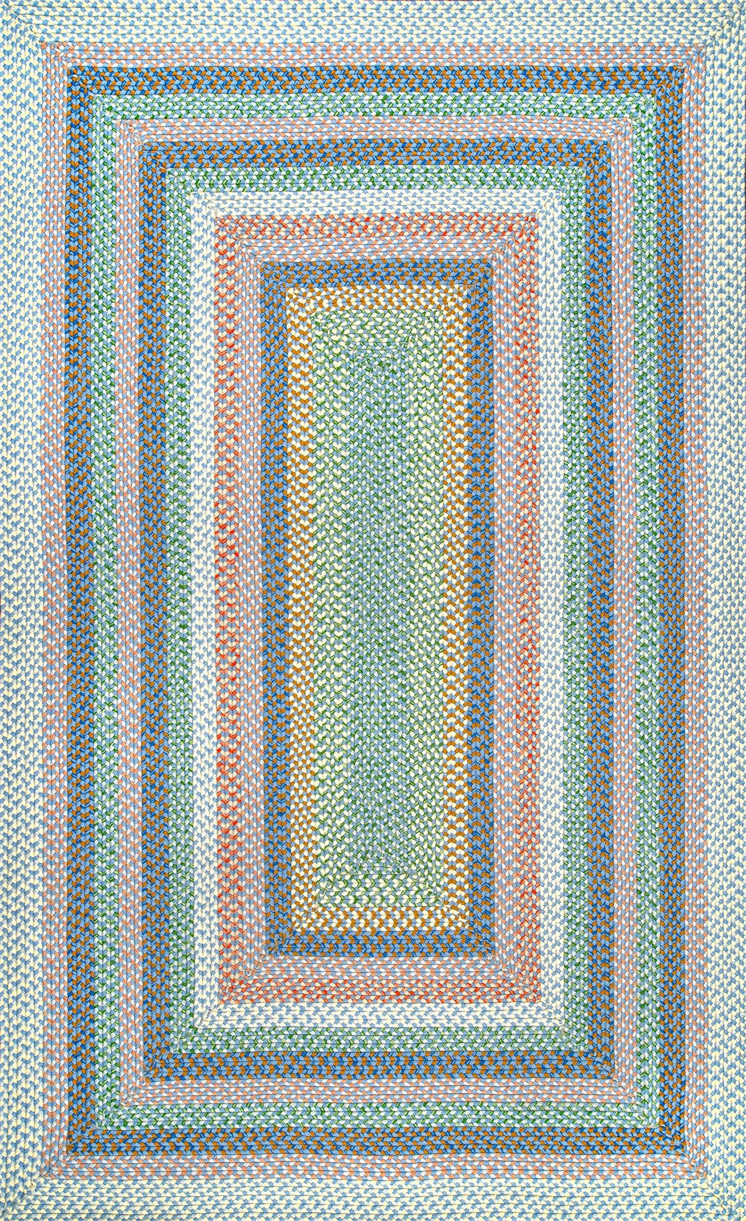 Braided Shay Indoor/Outdoor Area Rug