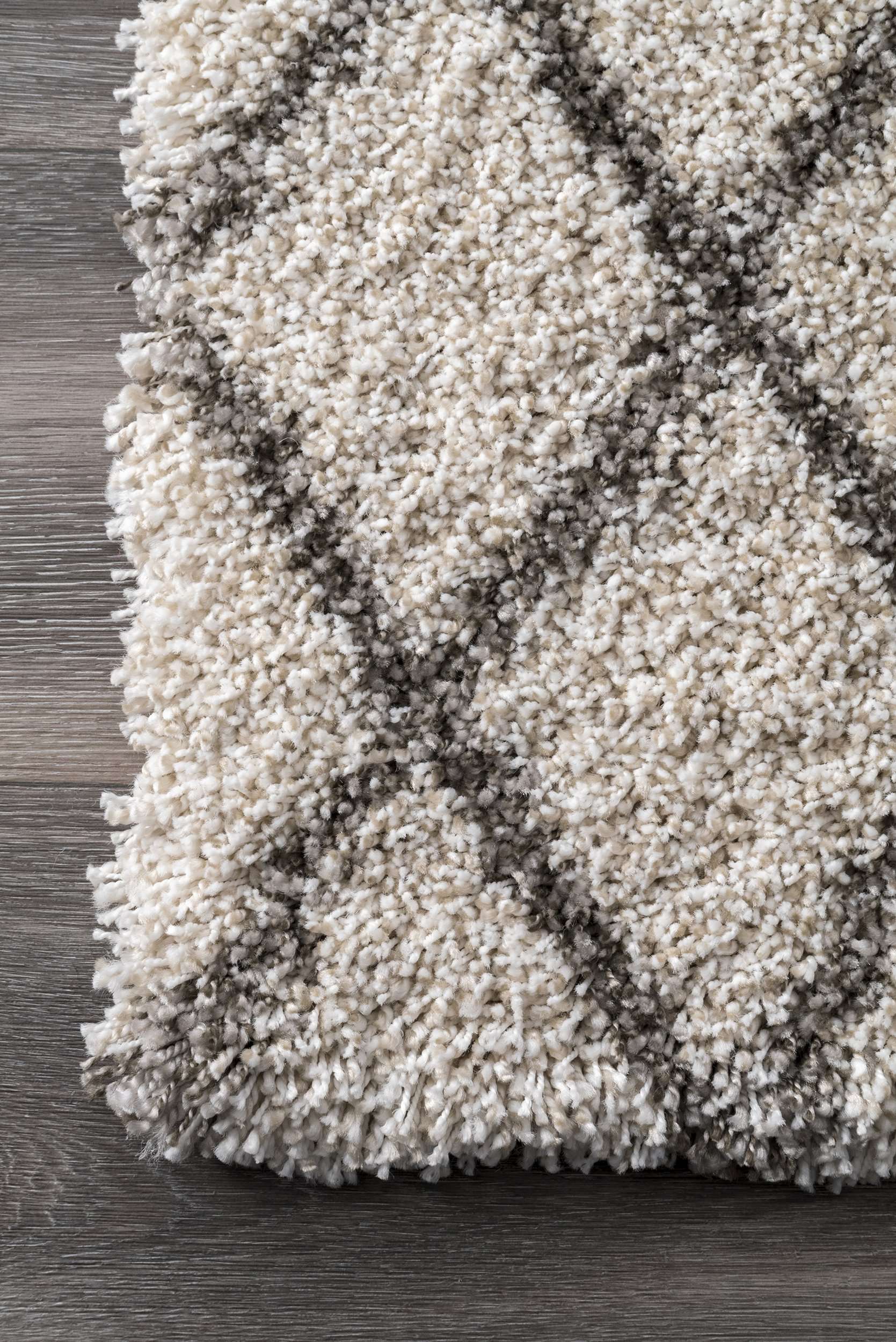 Lenita Trellis Shaggy Area Rug - Image 4