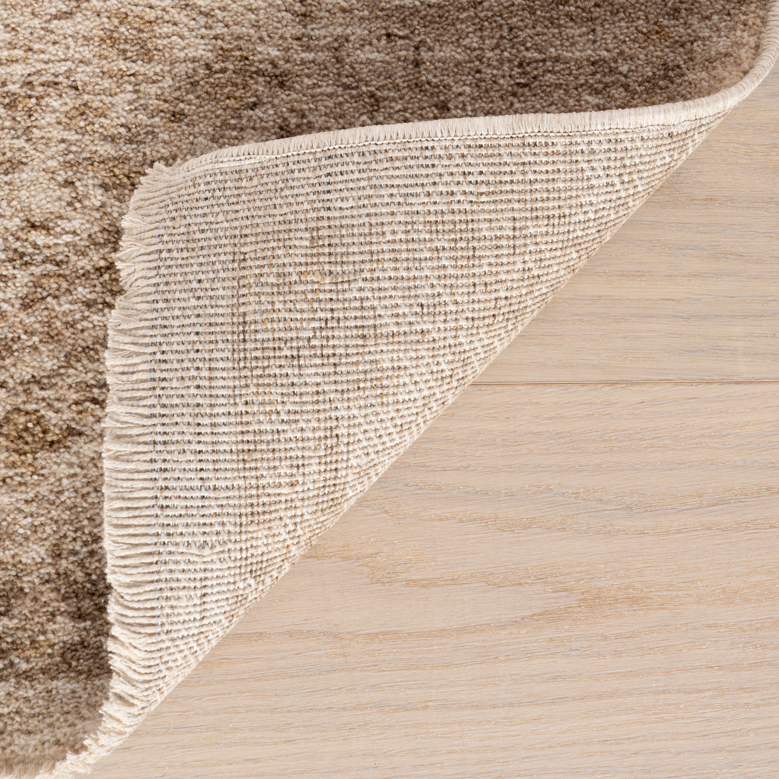 Sylveria Vintage & Distressed Traditional Area Rug - Image 7