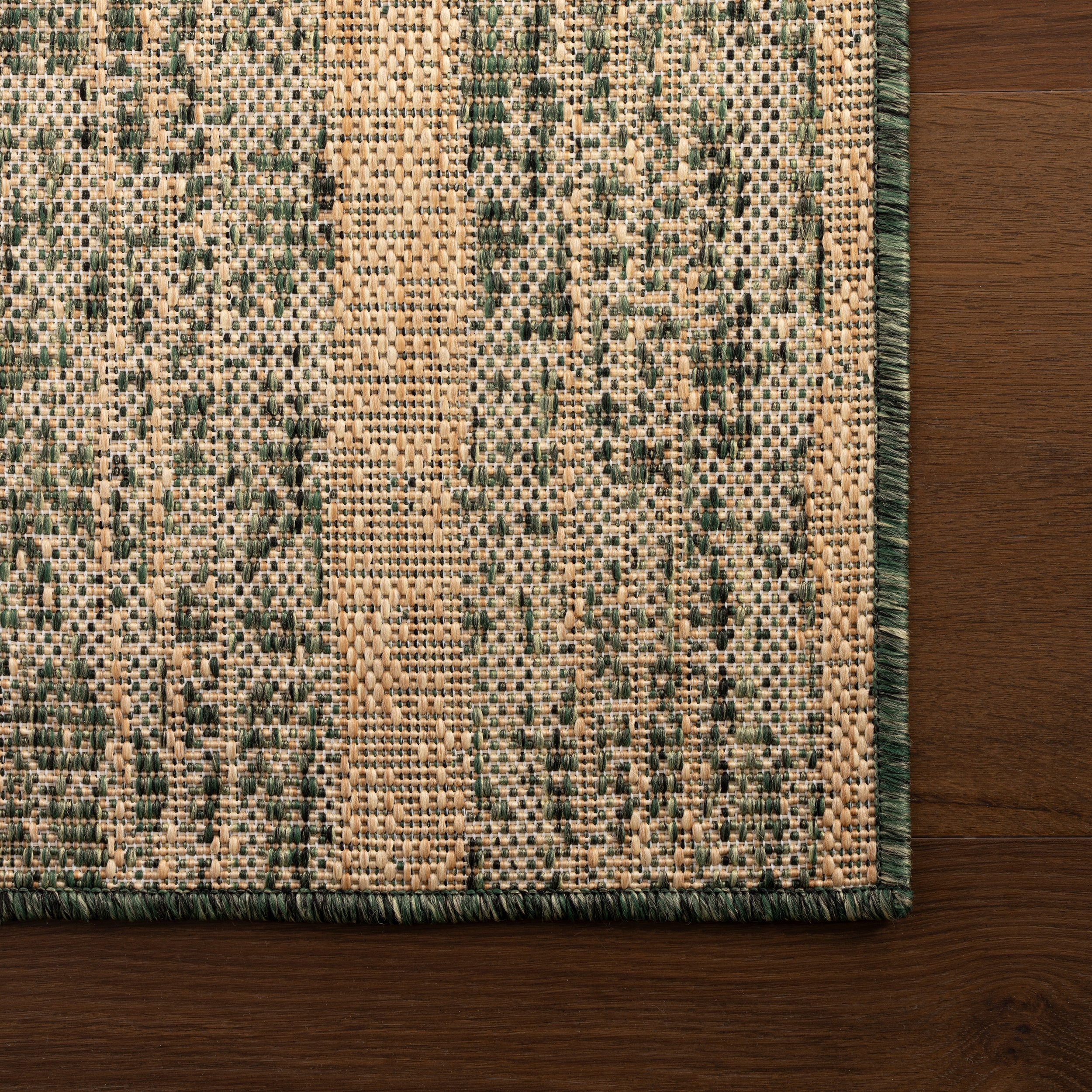 Venira Indoor/Outdoor Bohemian Area Rug - Image 18