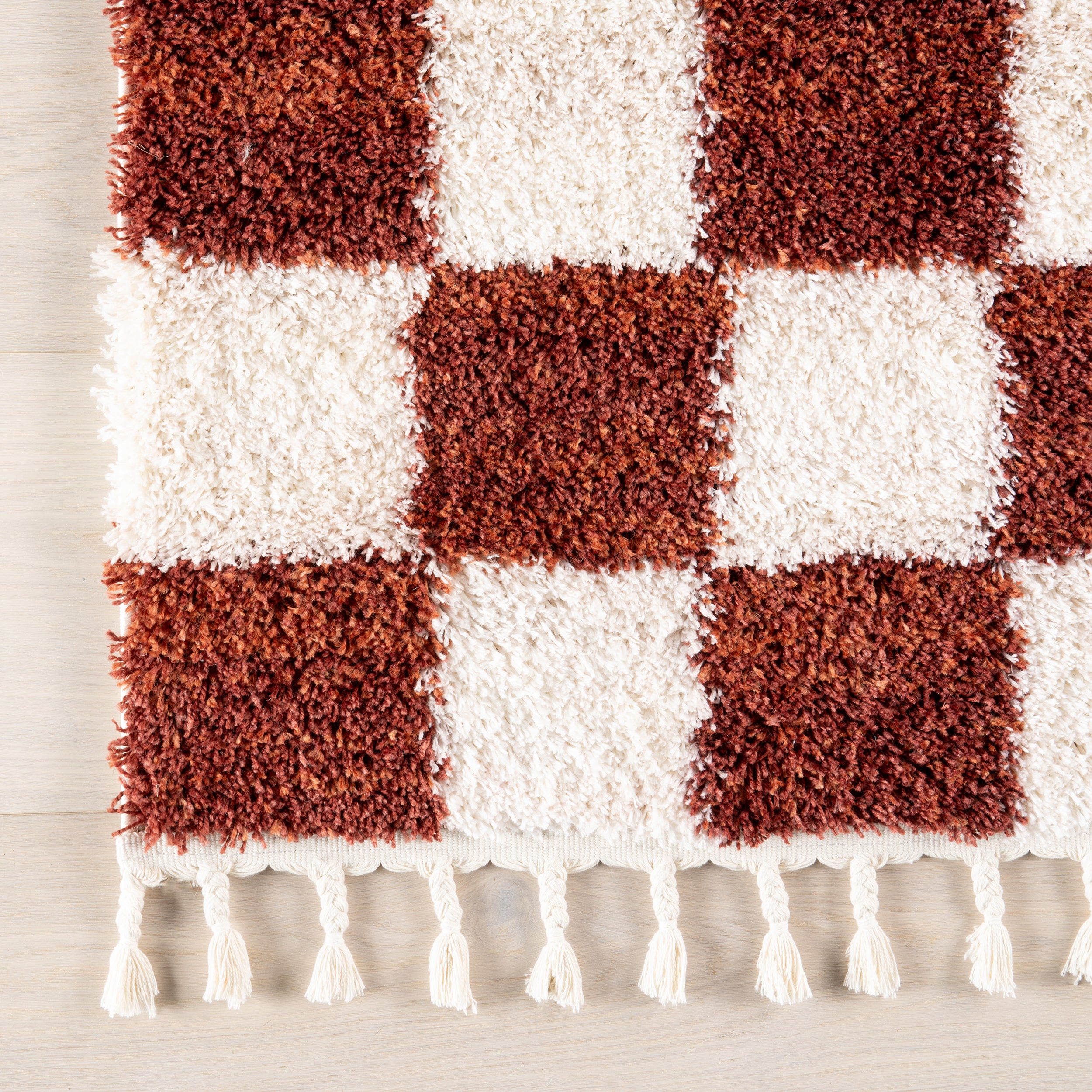 nuLOOM Carlisha Contemporary Checkered Area Rug - Image 7