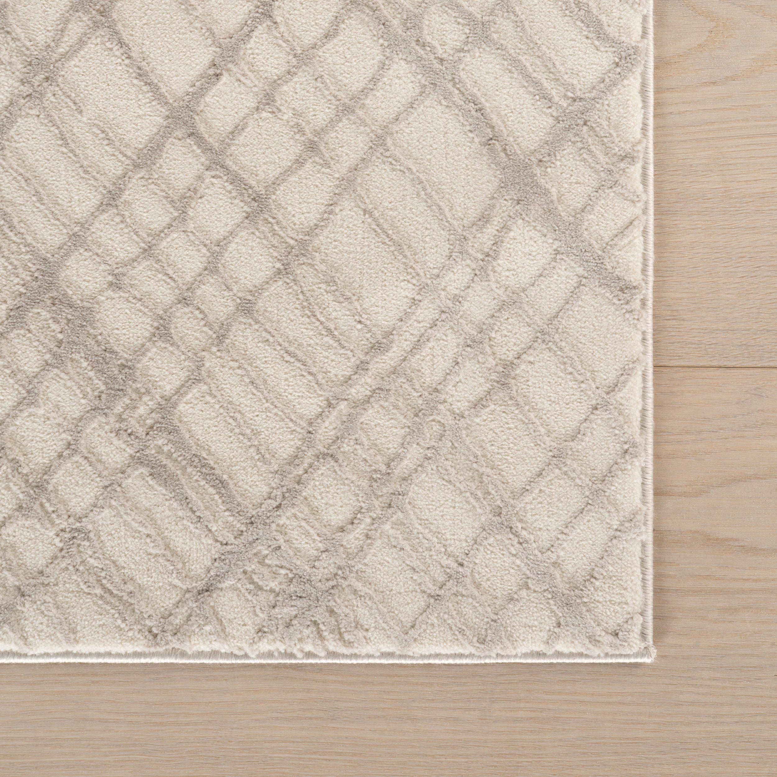 Amireth Textured Checkered Area Rug - Image 6