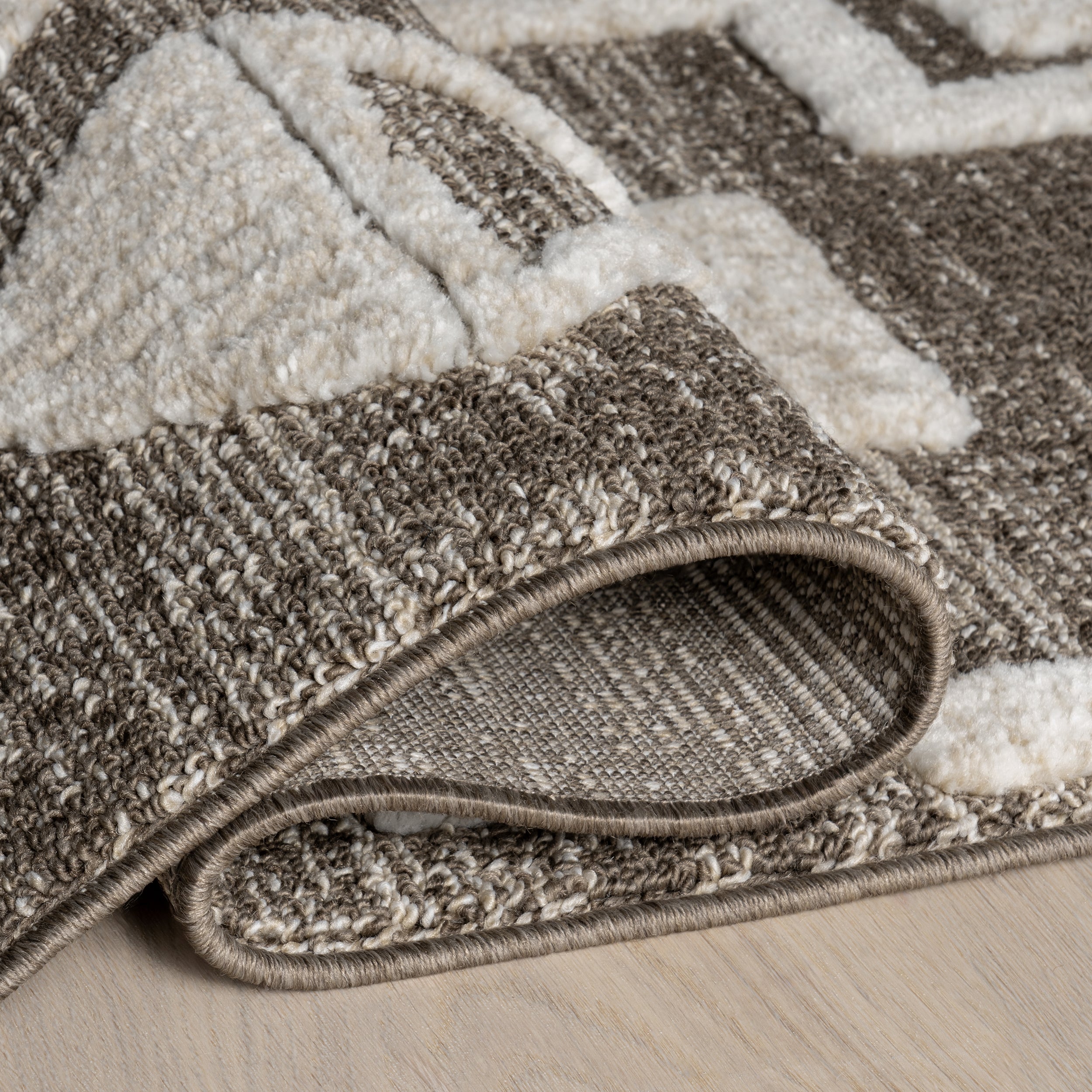 Gatsby Southwestern Tasseled Area Rug - Image 4