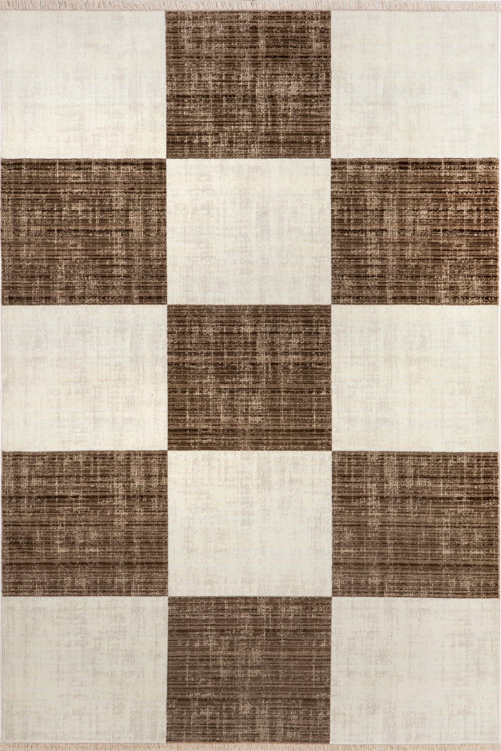 Aspen Checkerboard Fringed Area Rug