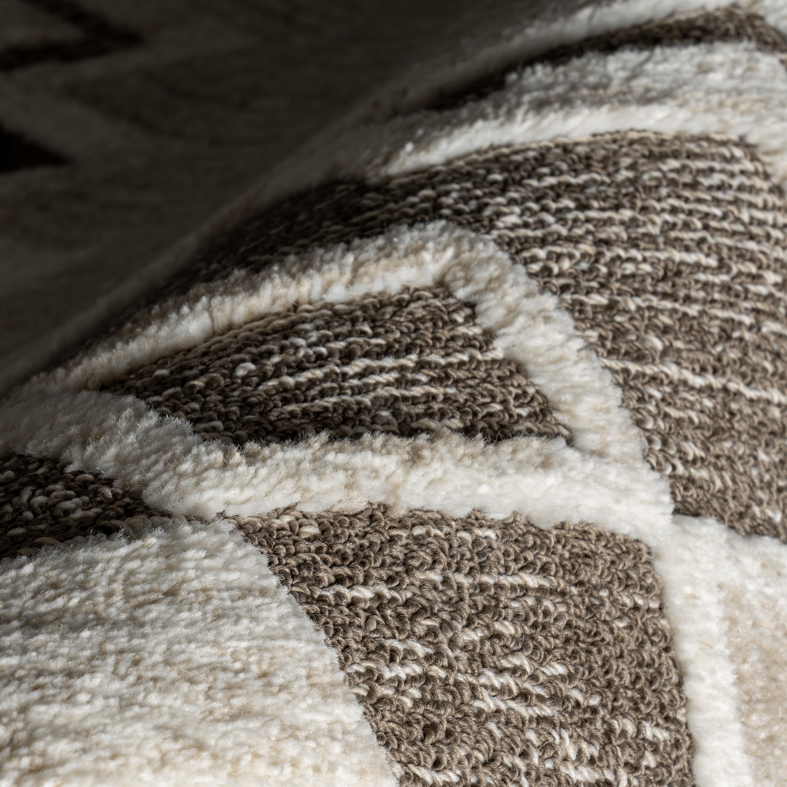 Gatsby Southwestern Tasseled Area Rug - Image 5