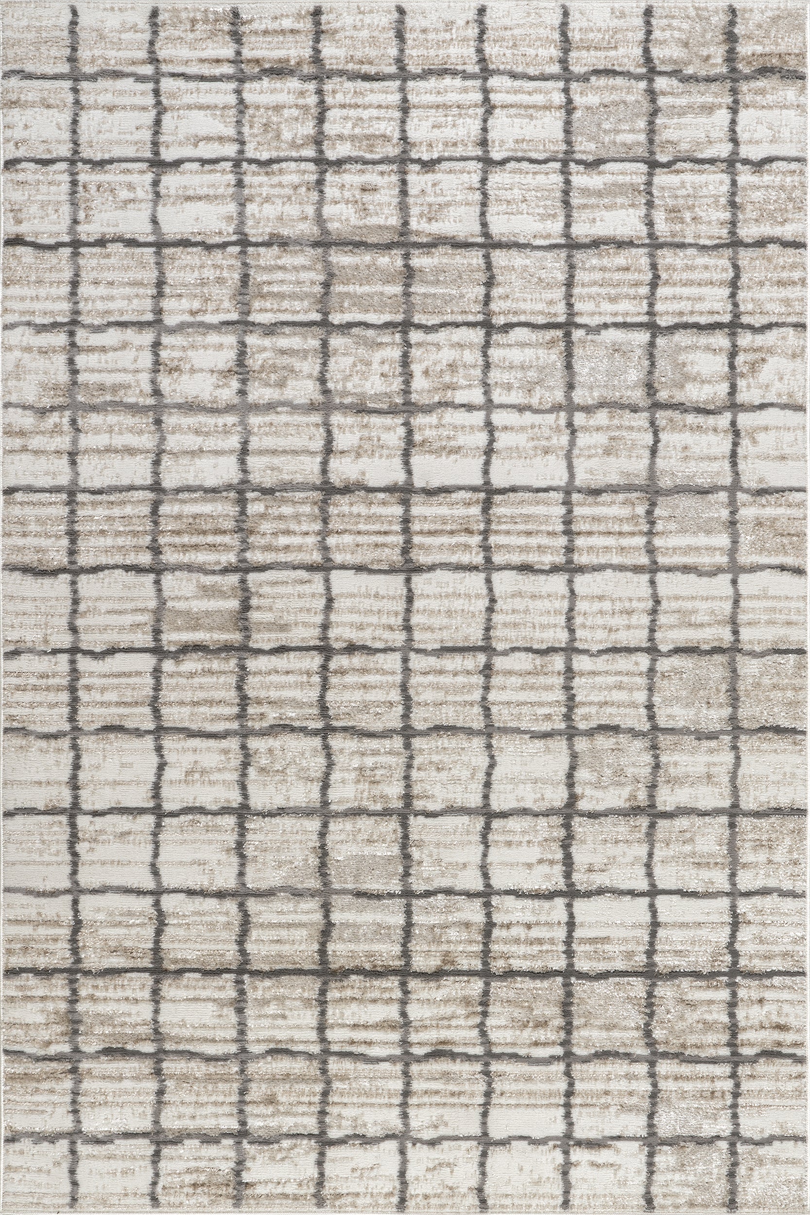 Xylia Checkered Area Rug