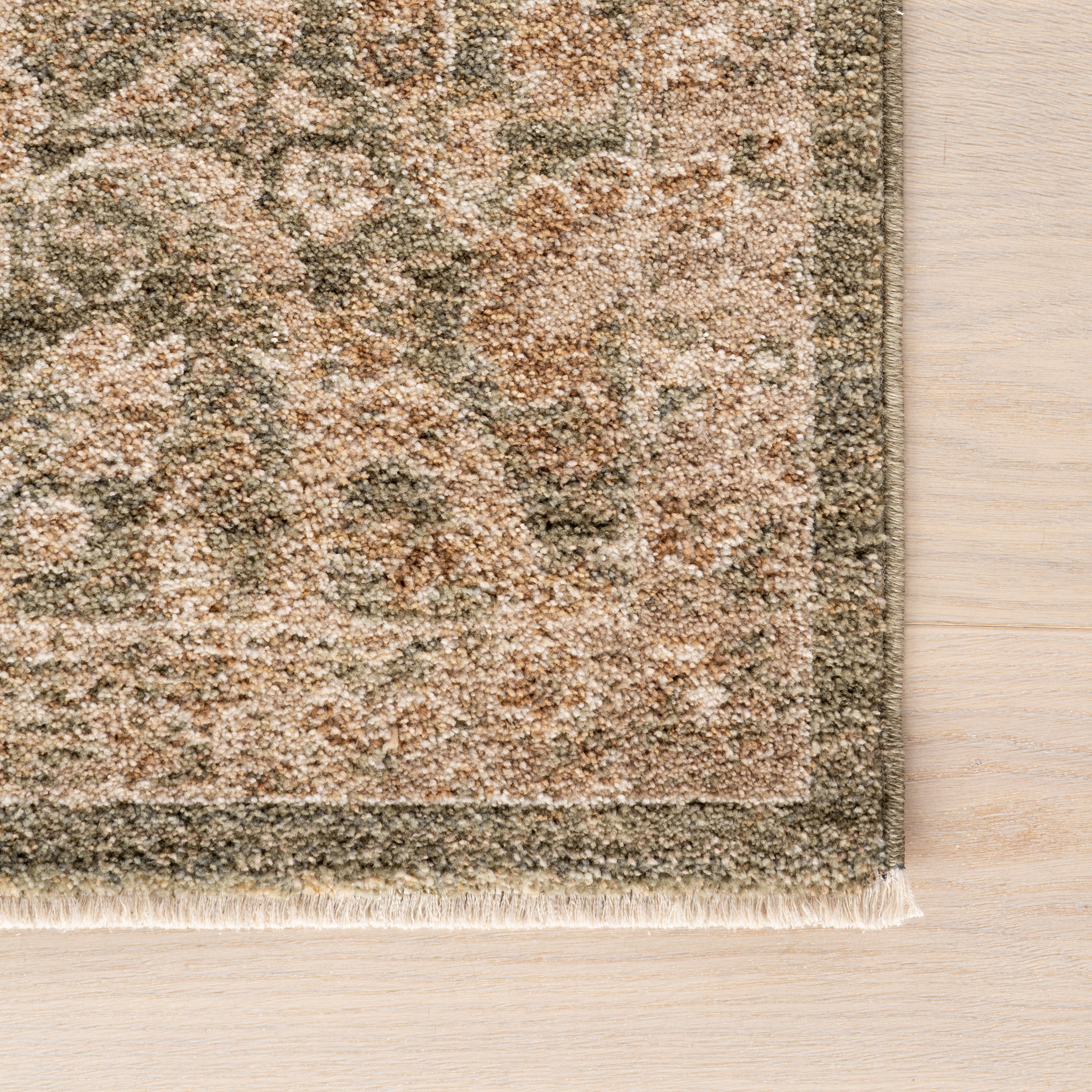 Dahlevia Vintage & Distressed Traditional Area Rug - Image 6