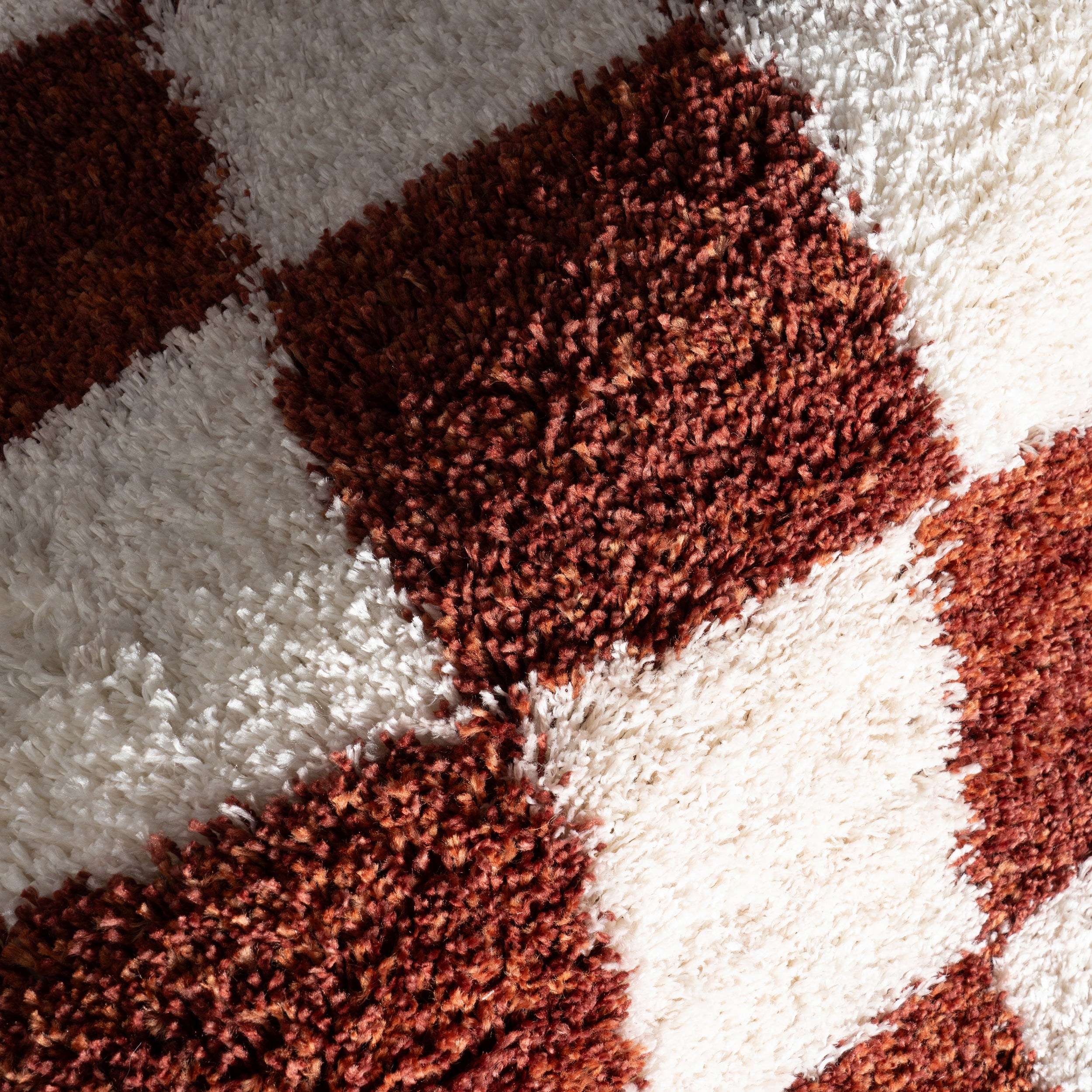 nuLOOM Carlisha Contemporary Checkered Area Rug - Image 6
