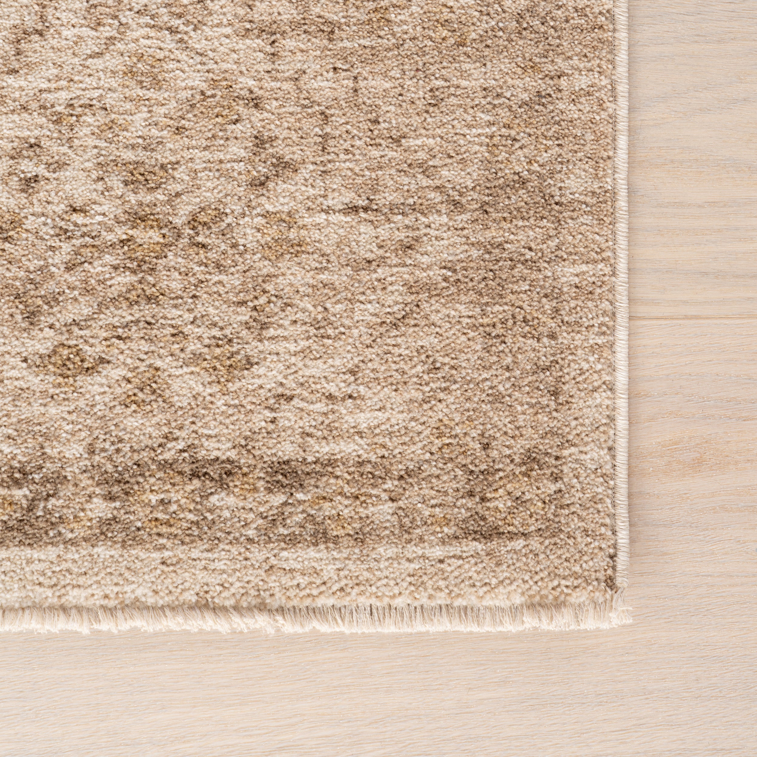 Sylveria Vintage & Distressed Traditional Area Rug - Image 6