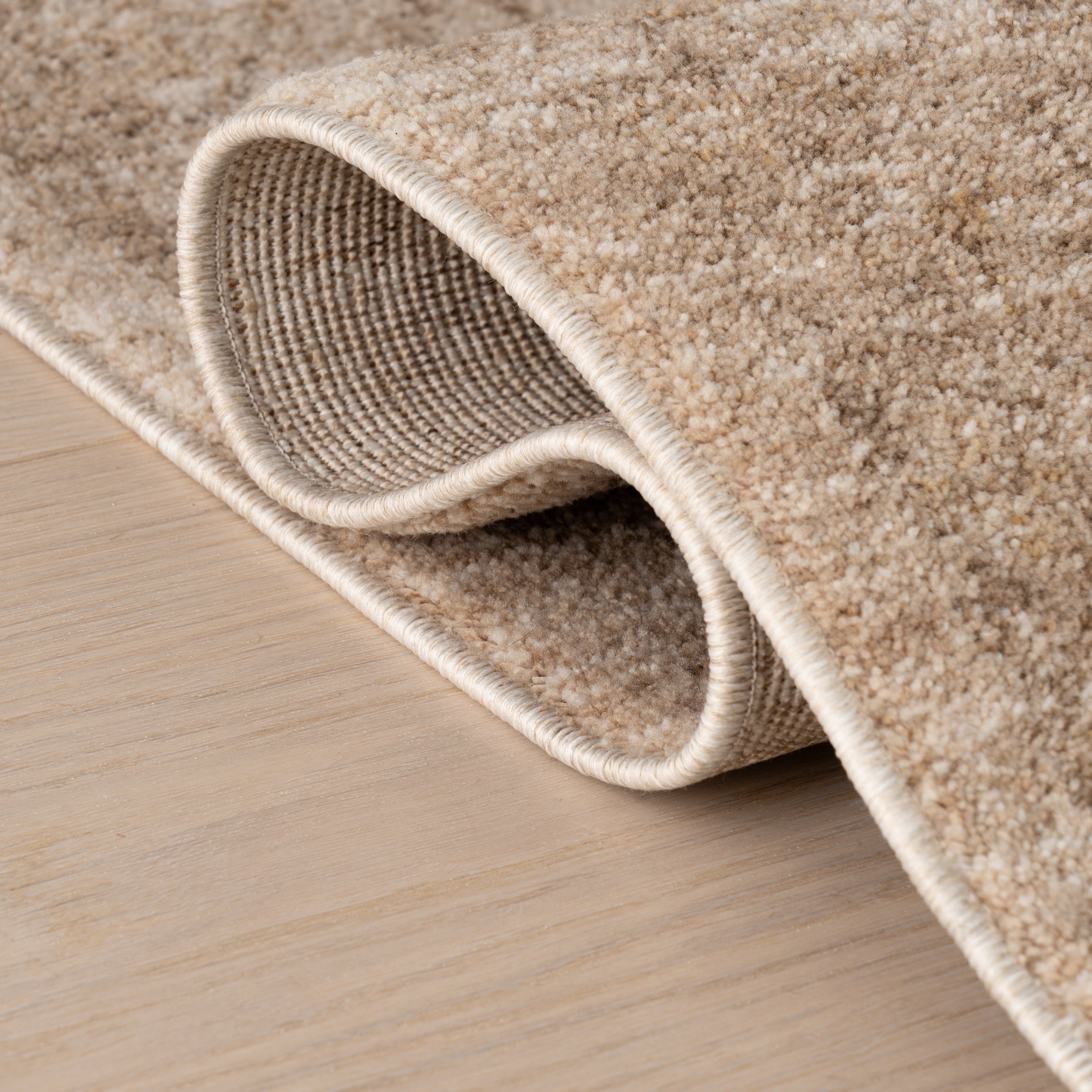 Sylveria Vintage & Distressed Traditional Area Rug - Image 4
