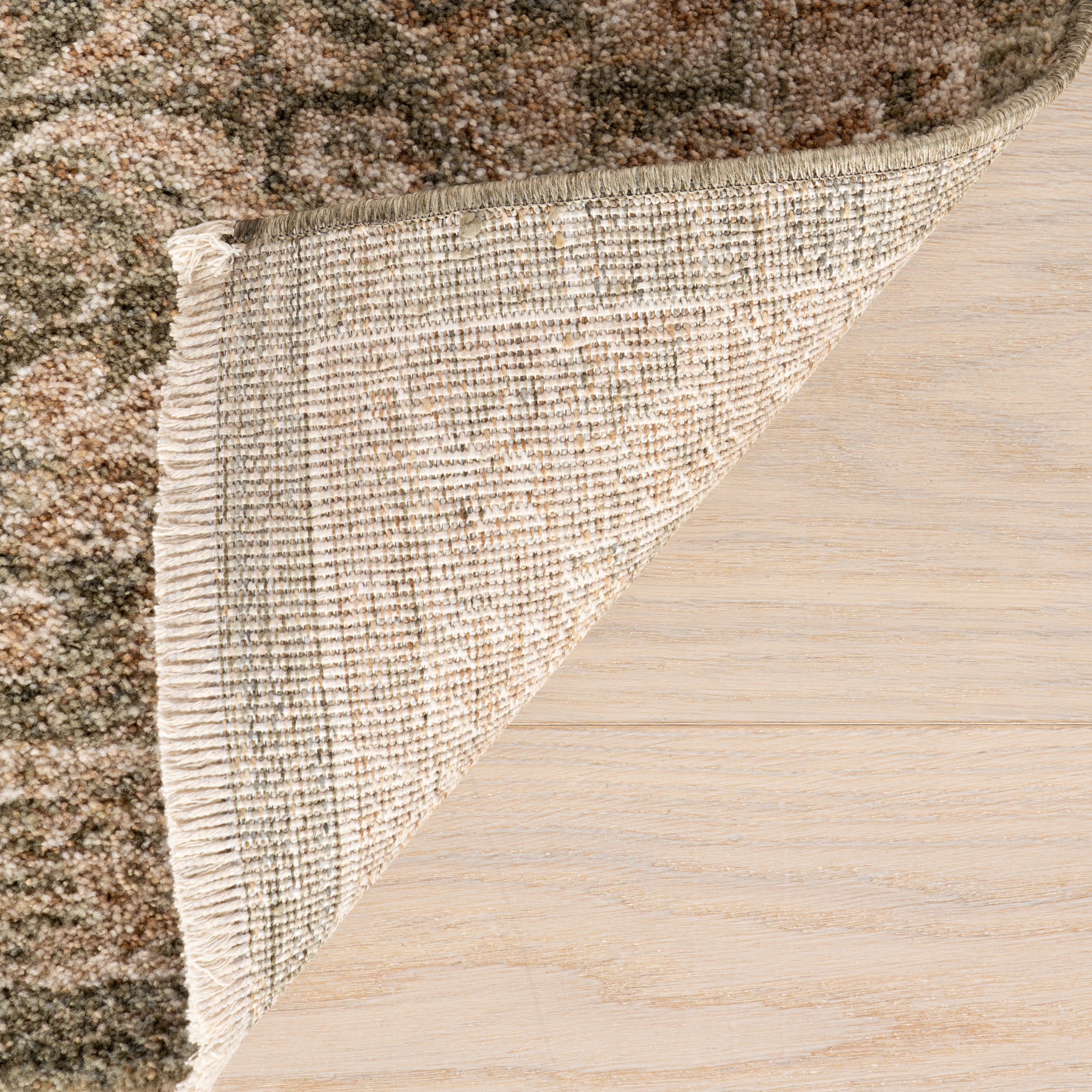 Dahlevia Vintage & Distressed Traditional Area Rug - Image 7