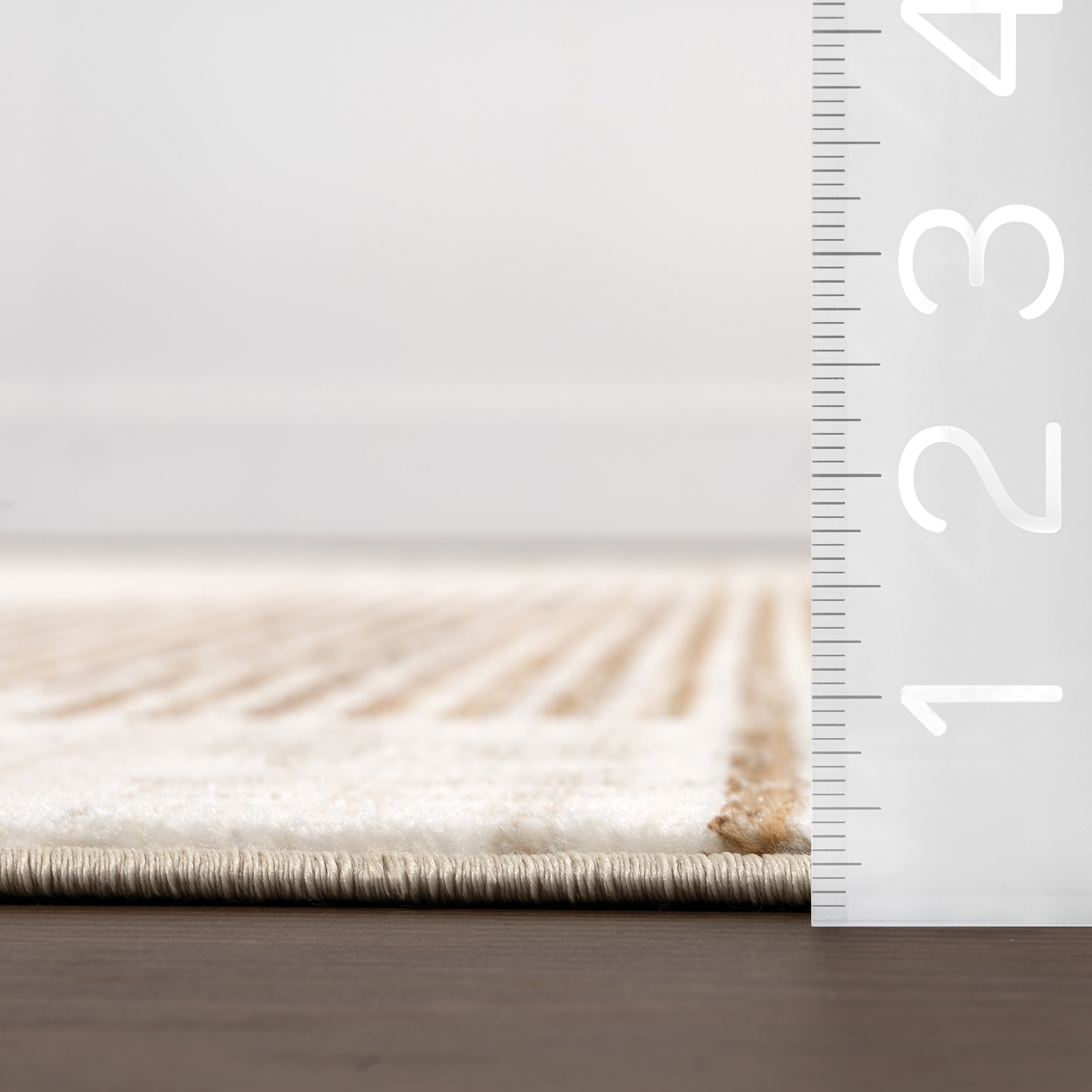 nuLOOM Vanita Transitional Southwestern Fringe Area Rug - Image 3