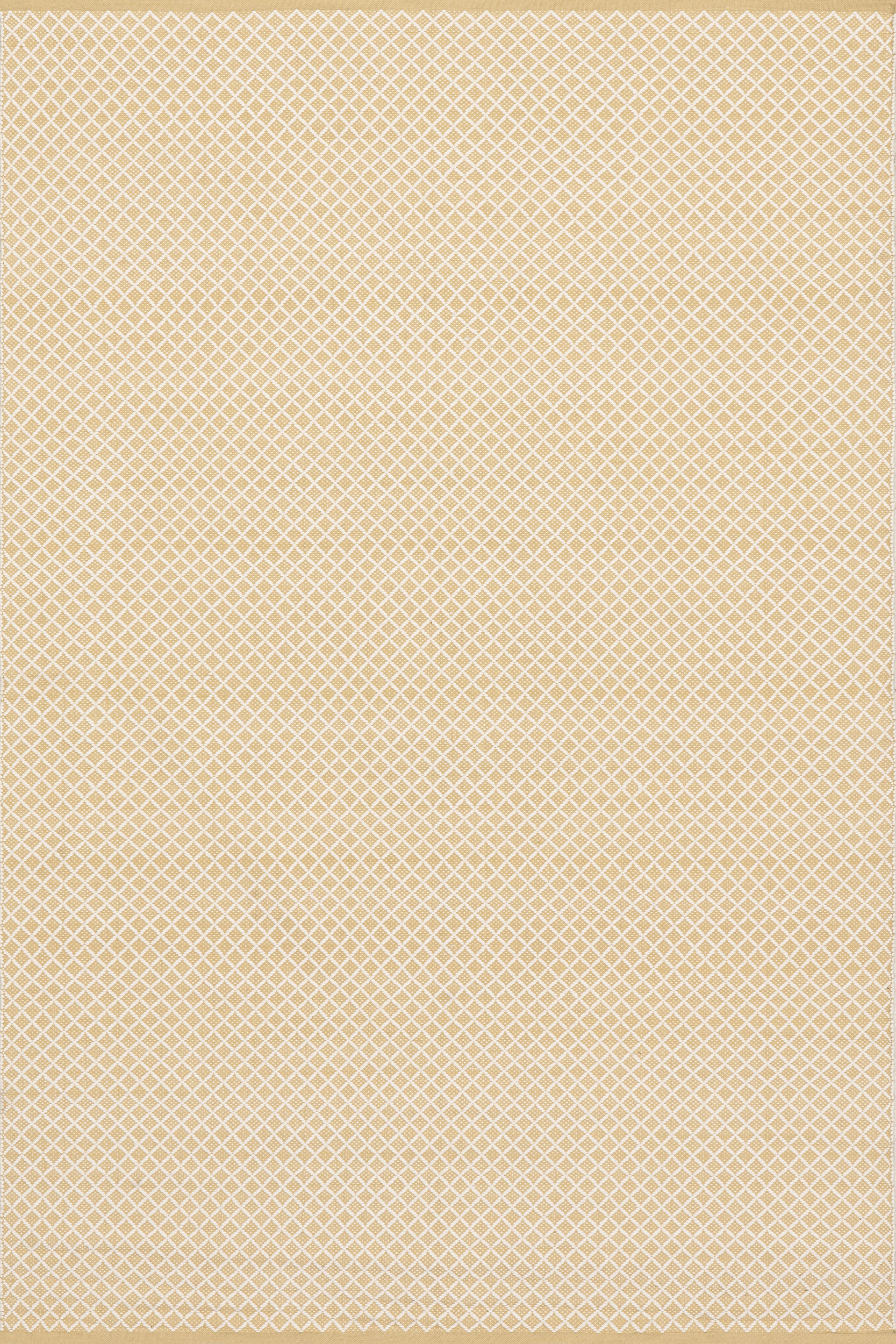 Home Conservatory Trellis Handwoven Indoor/Outdoor Area Rug
