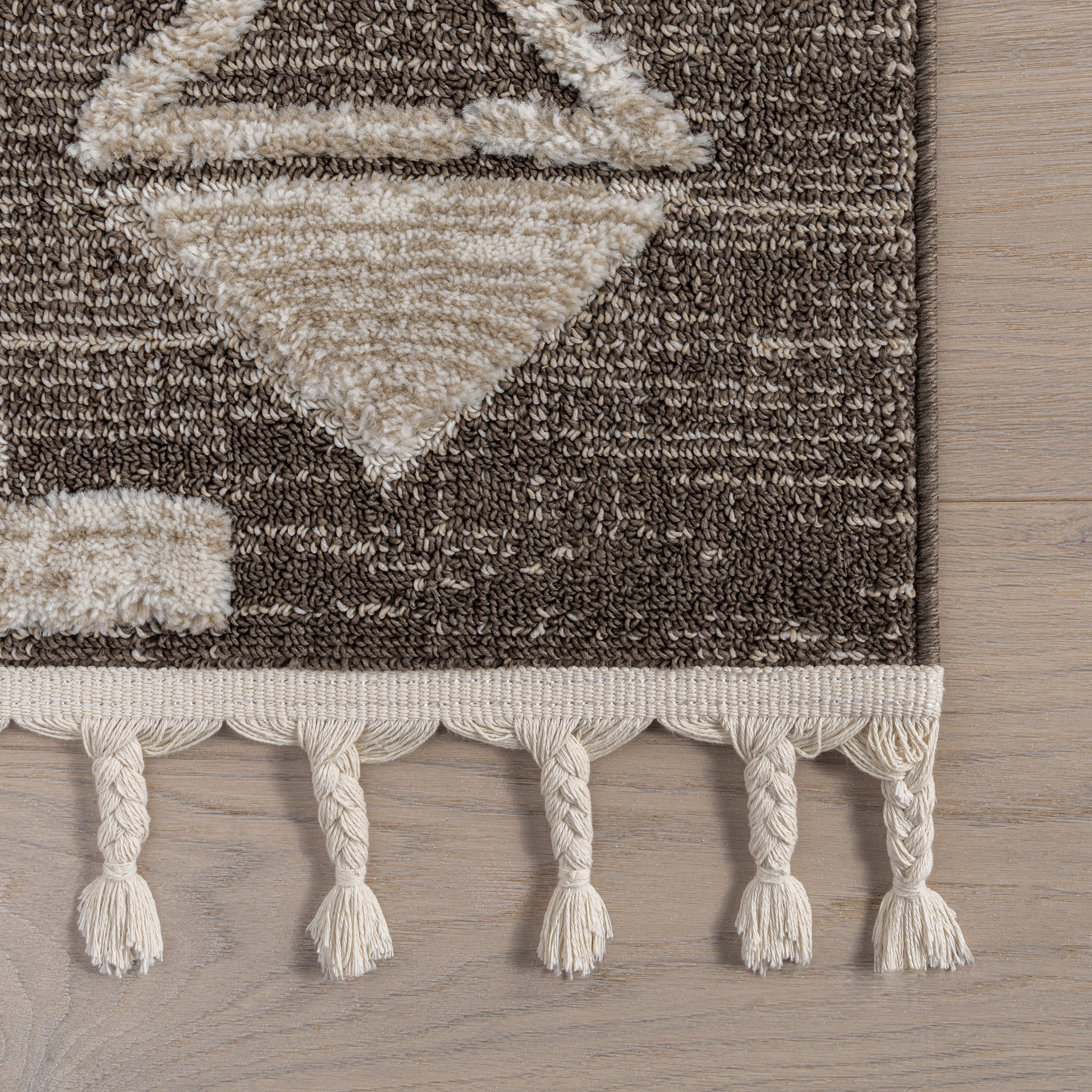Gatsby Southwestern Tasseled Area Rug - Image 6