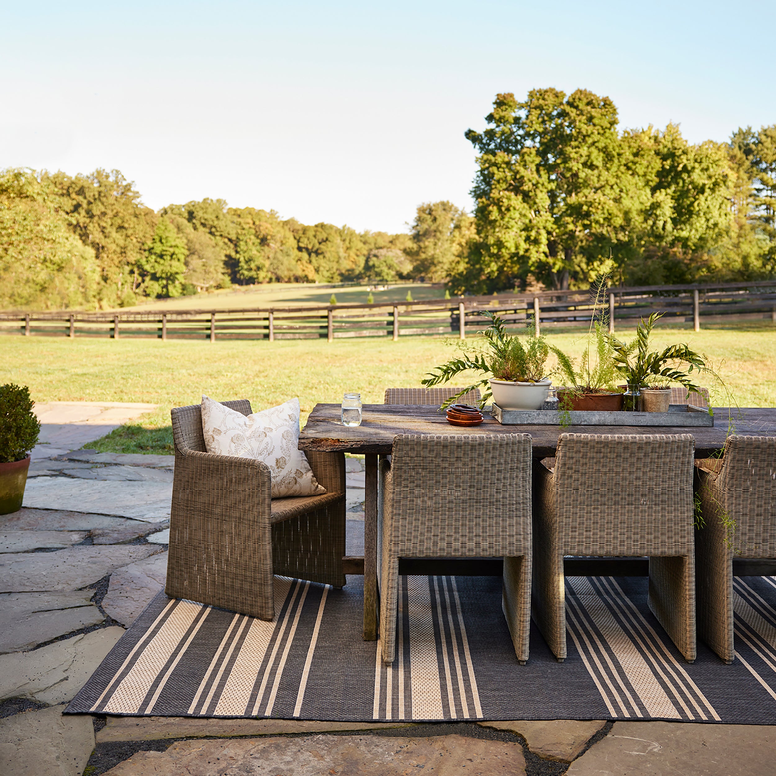 Romy Striped Indoor/Outdoor Area Rug - Image 2
