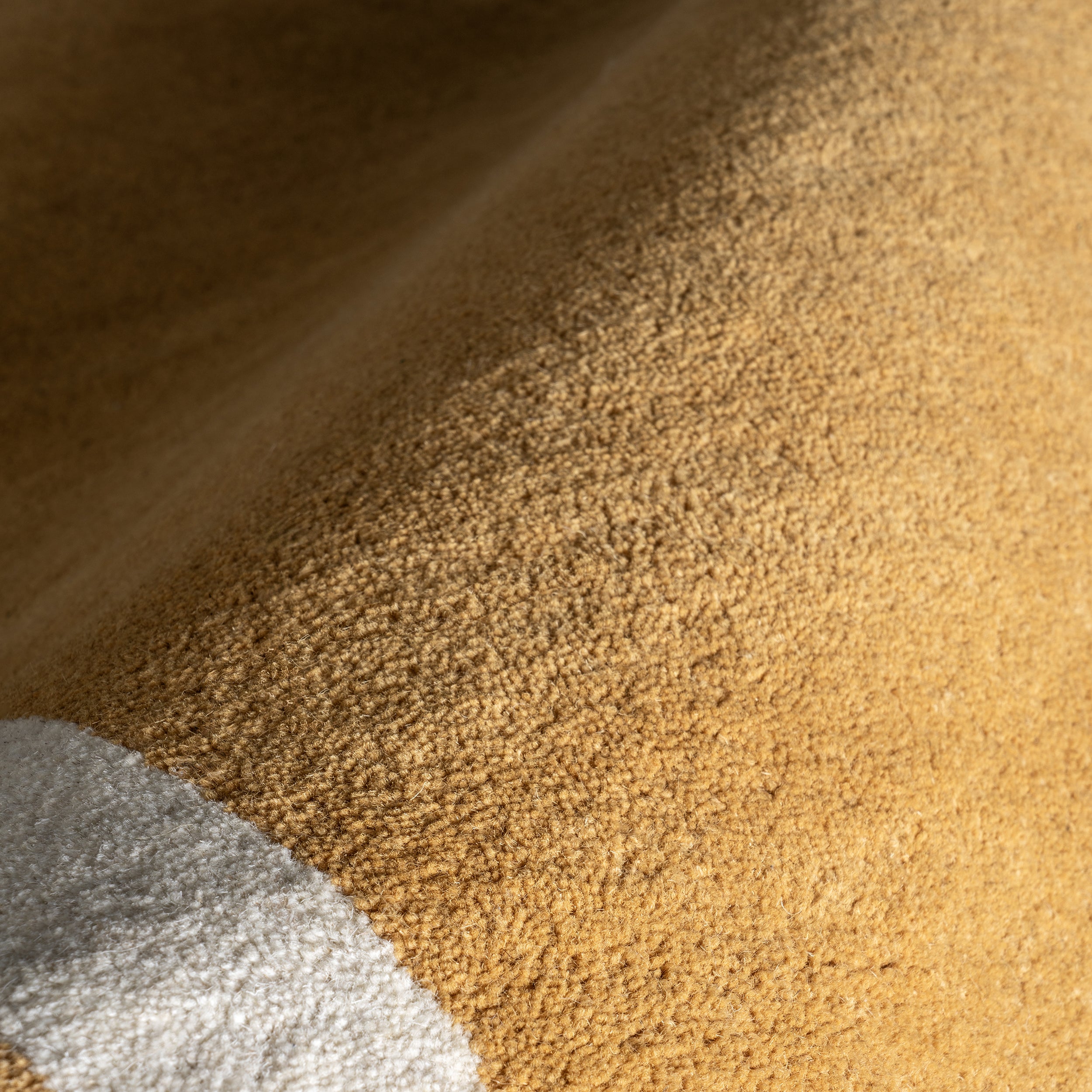 Grace Bordered Wool Area Rug - Image 5