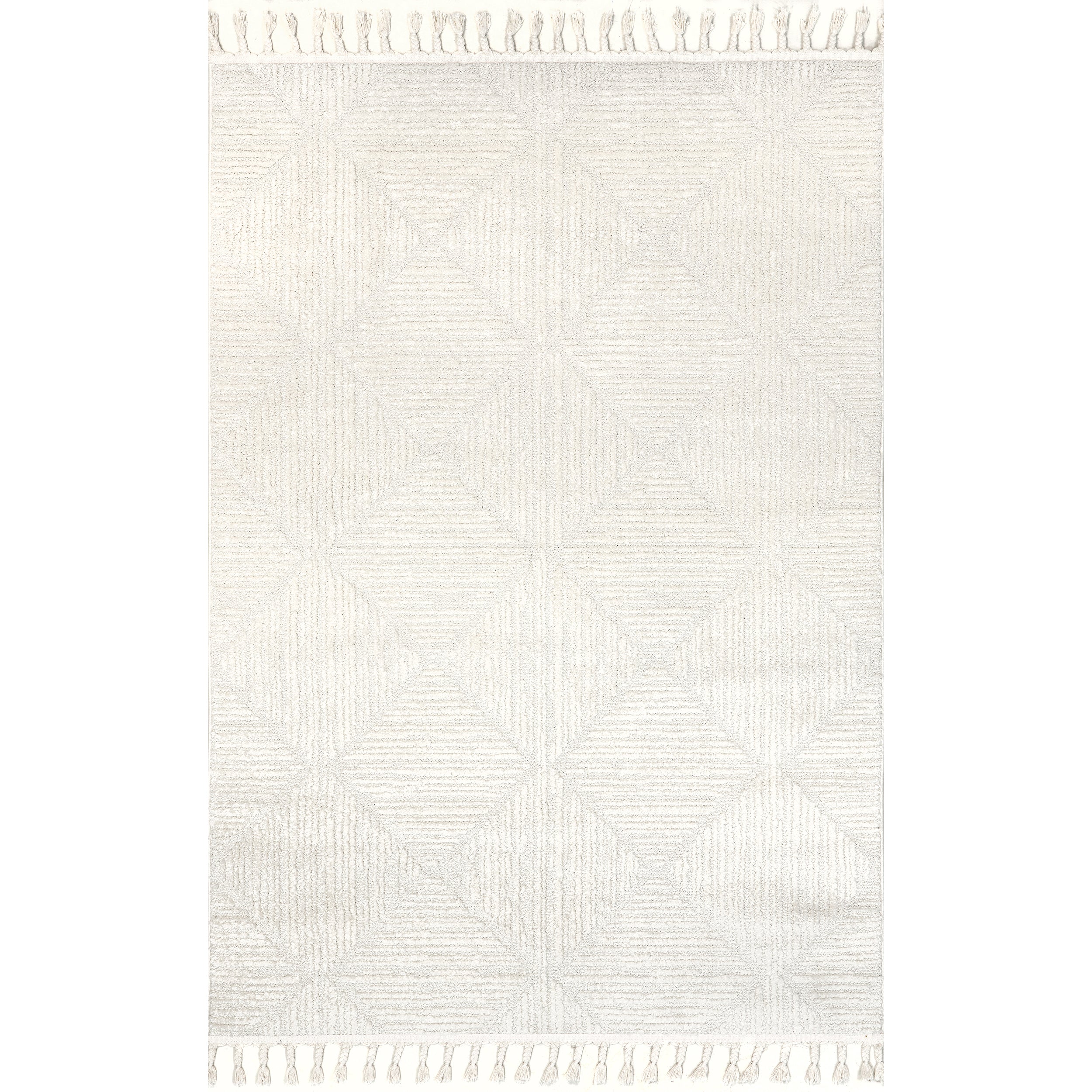 Kerry Textured Geometric Tasseled Area Rug