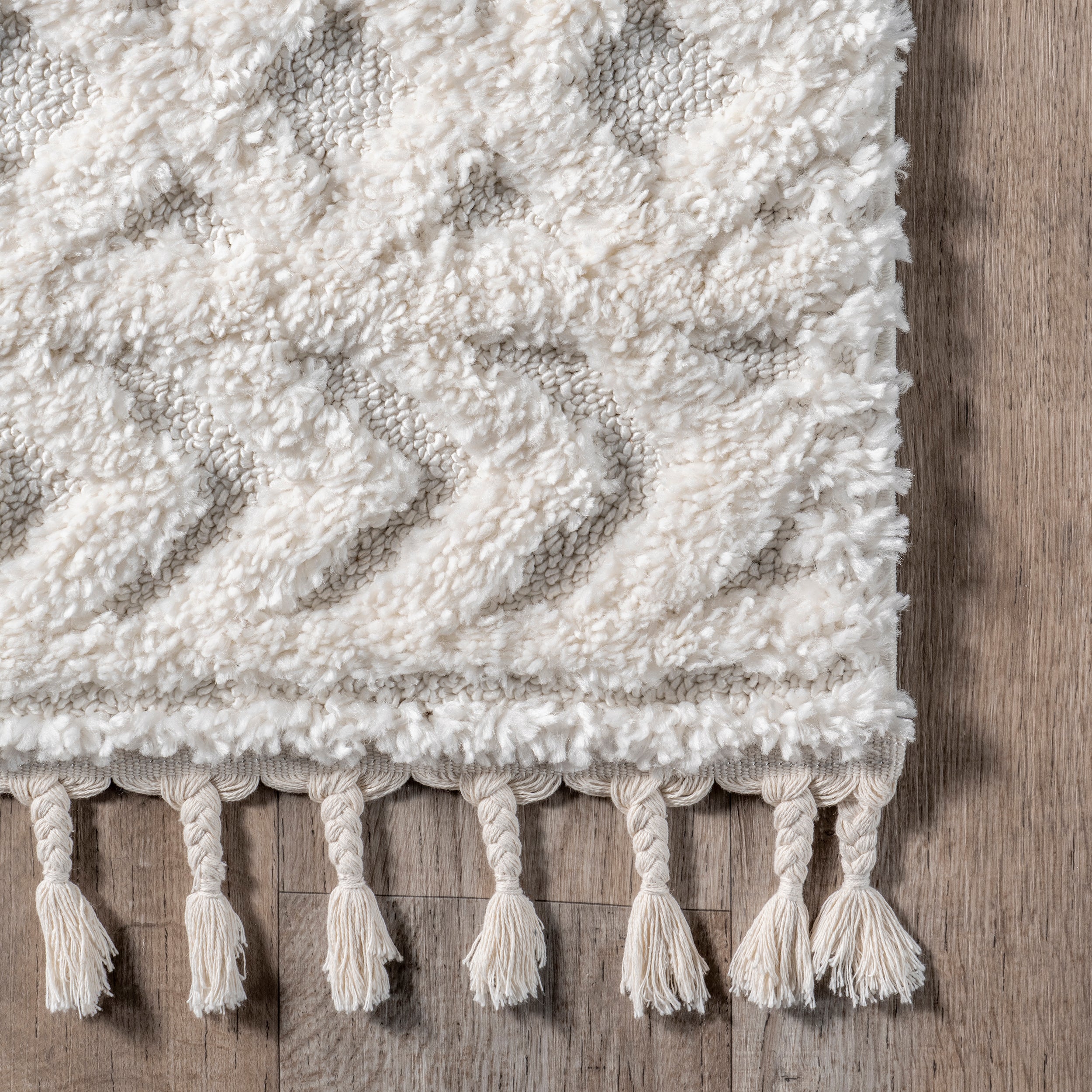 Akia Lattice High/Low Tassel Area Rug - Image 5
