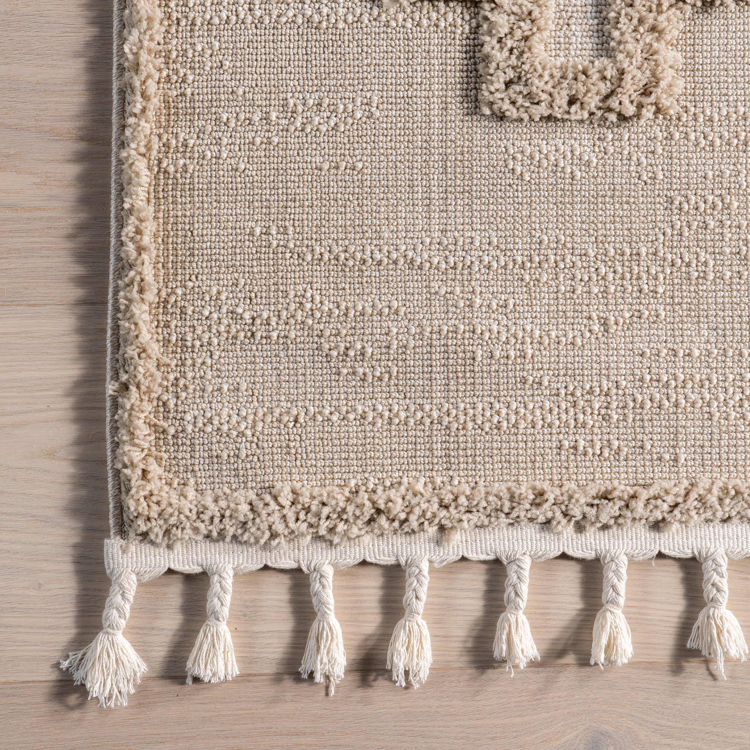 Polina Geometric High-Low Tasseled Area Rug - Image 5