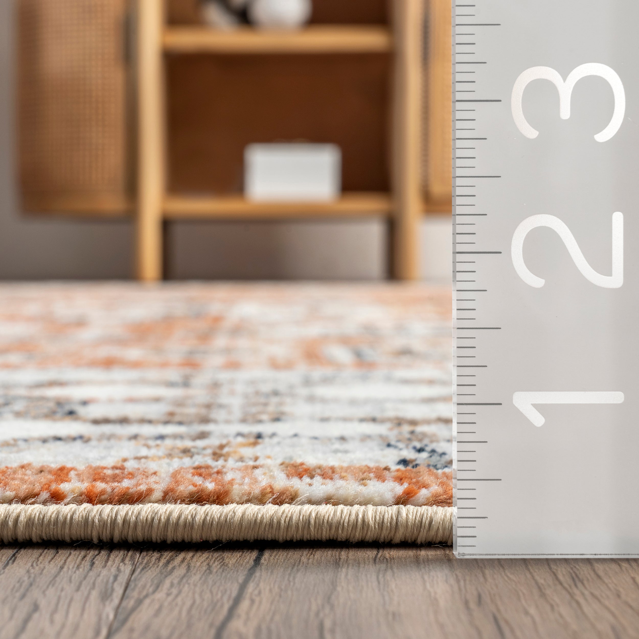 Vanesa Transitional Medallion Fringe Area Rug - Image 3