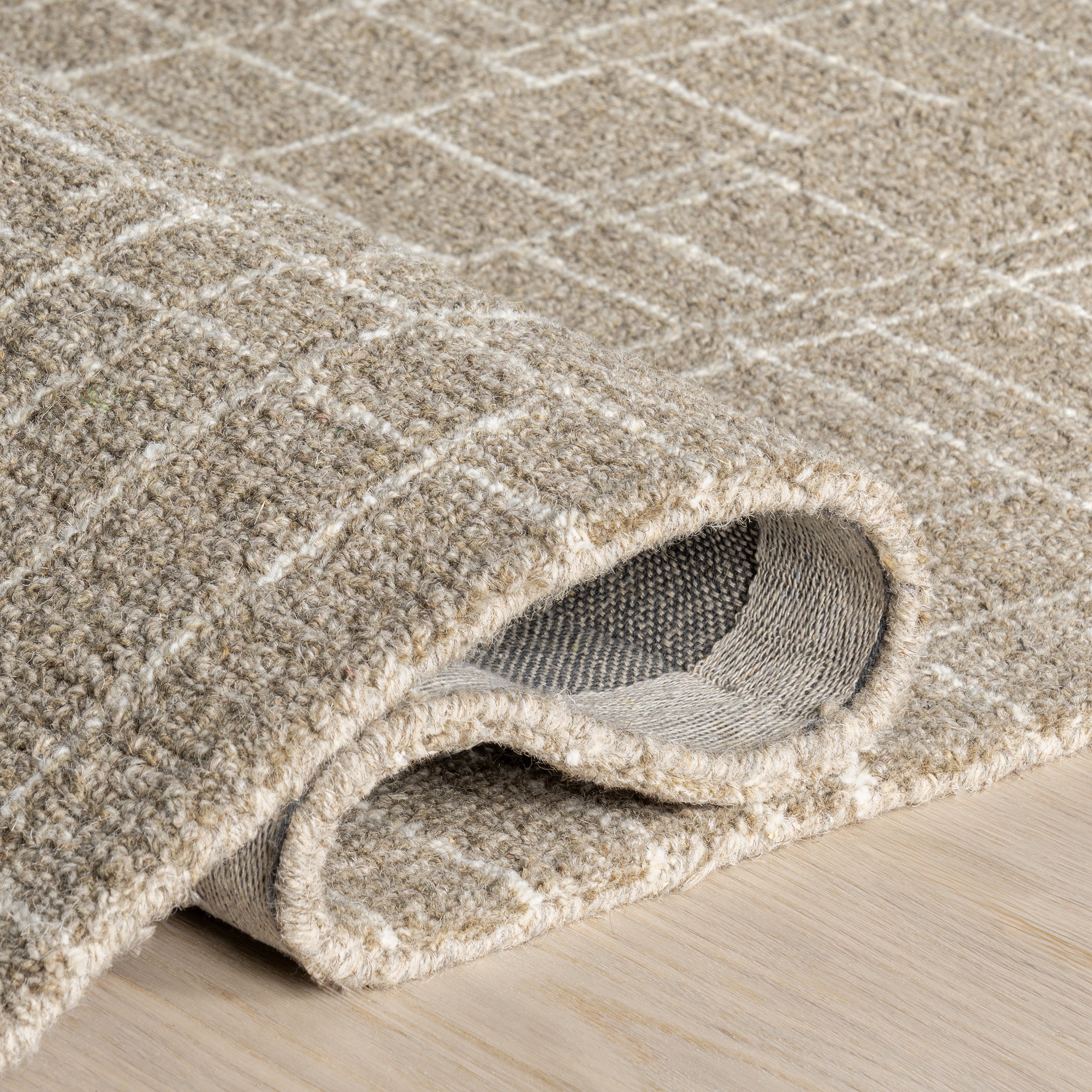 Tiera Checkered Wool Area Rug - Image 4