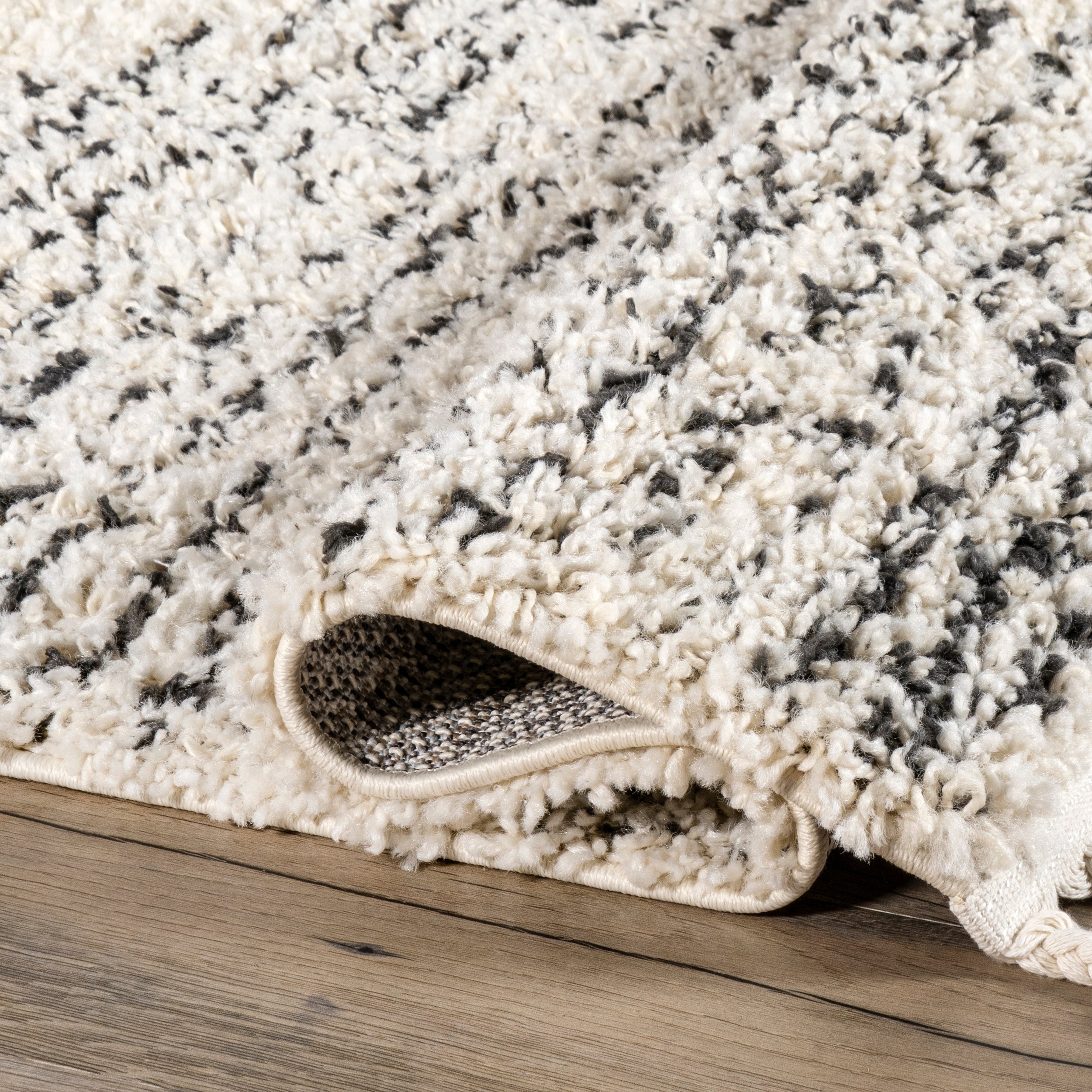 Bria Moroccan Shag Tasseled Area Rug - Image 4