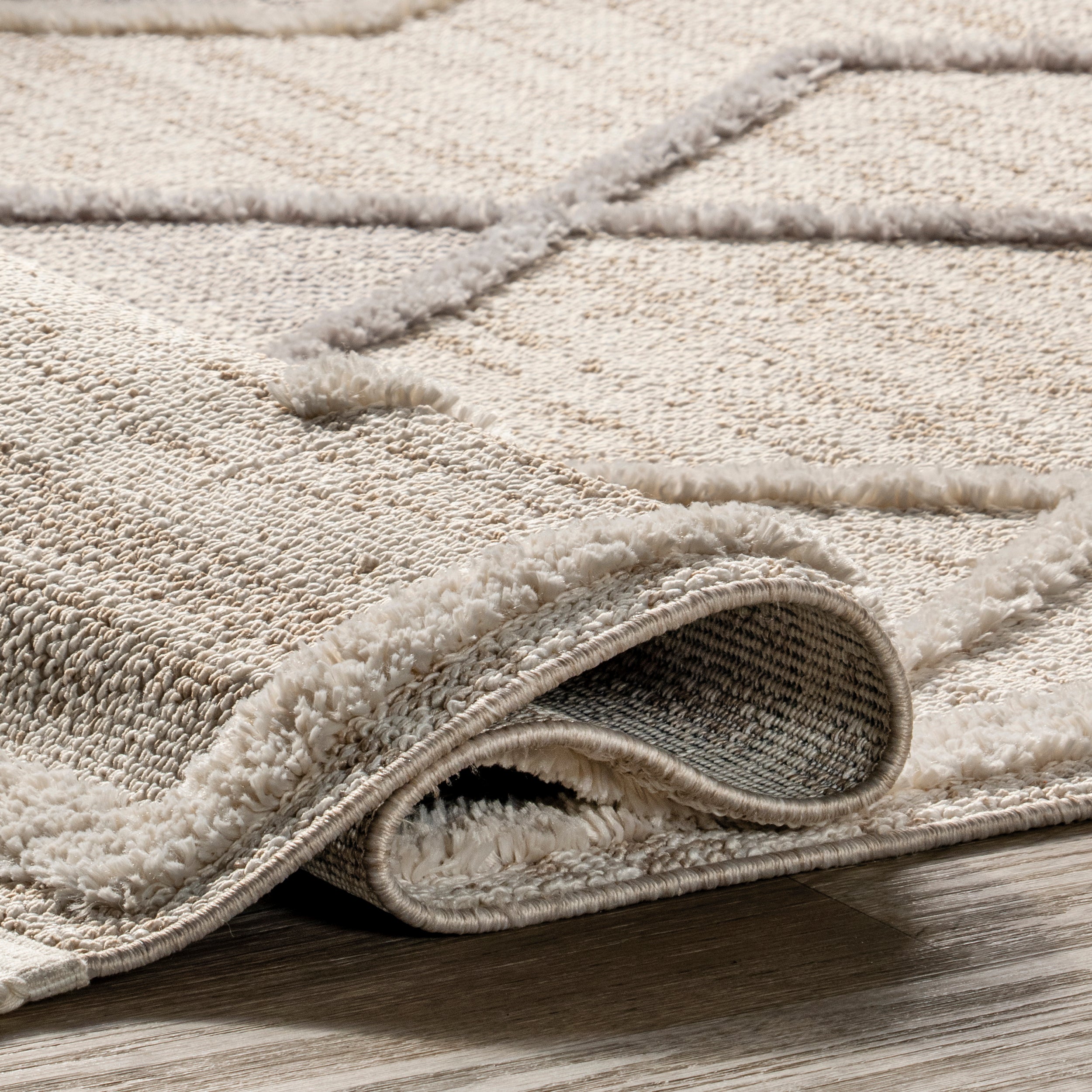 Blanche Moroccan Lattice Tasseled Area Rug - Image 4