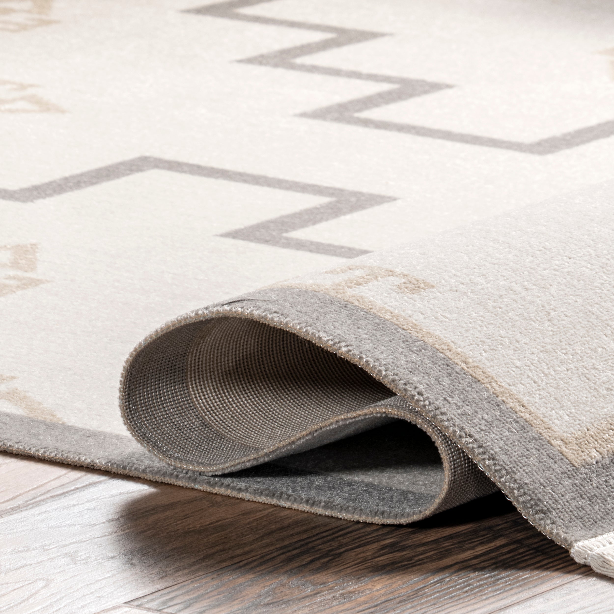 Isa Southwestern Indoor/Outdoor Fringe Area Rug - Image 4