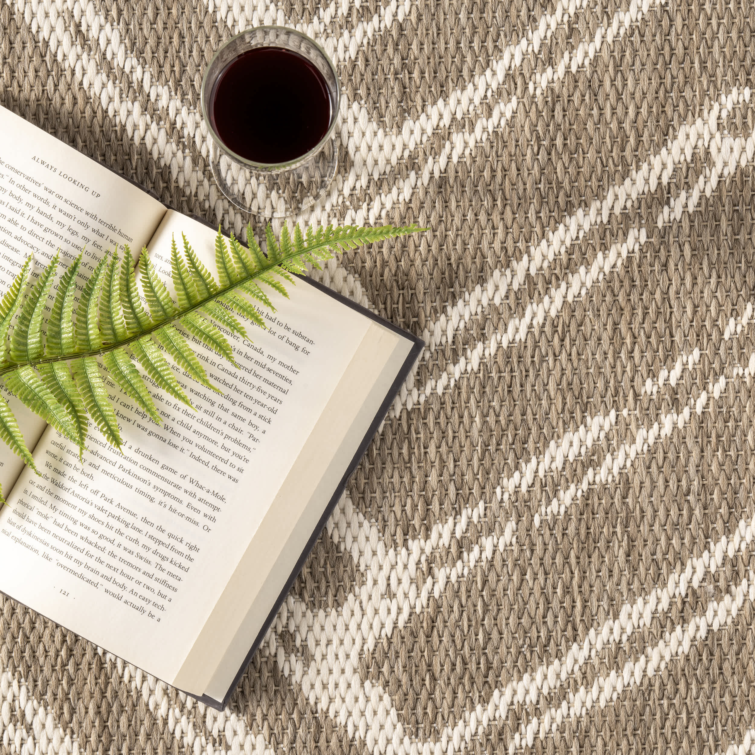 Macklin Herringbone Indoor/Outdoor Area Rug - Image 6