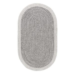 Indoor/Outdoor Braided Oralia Area Rug