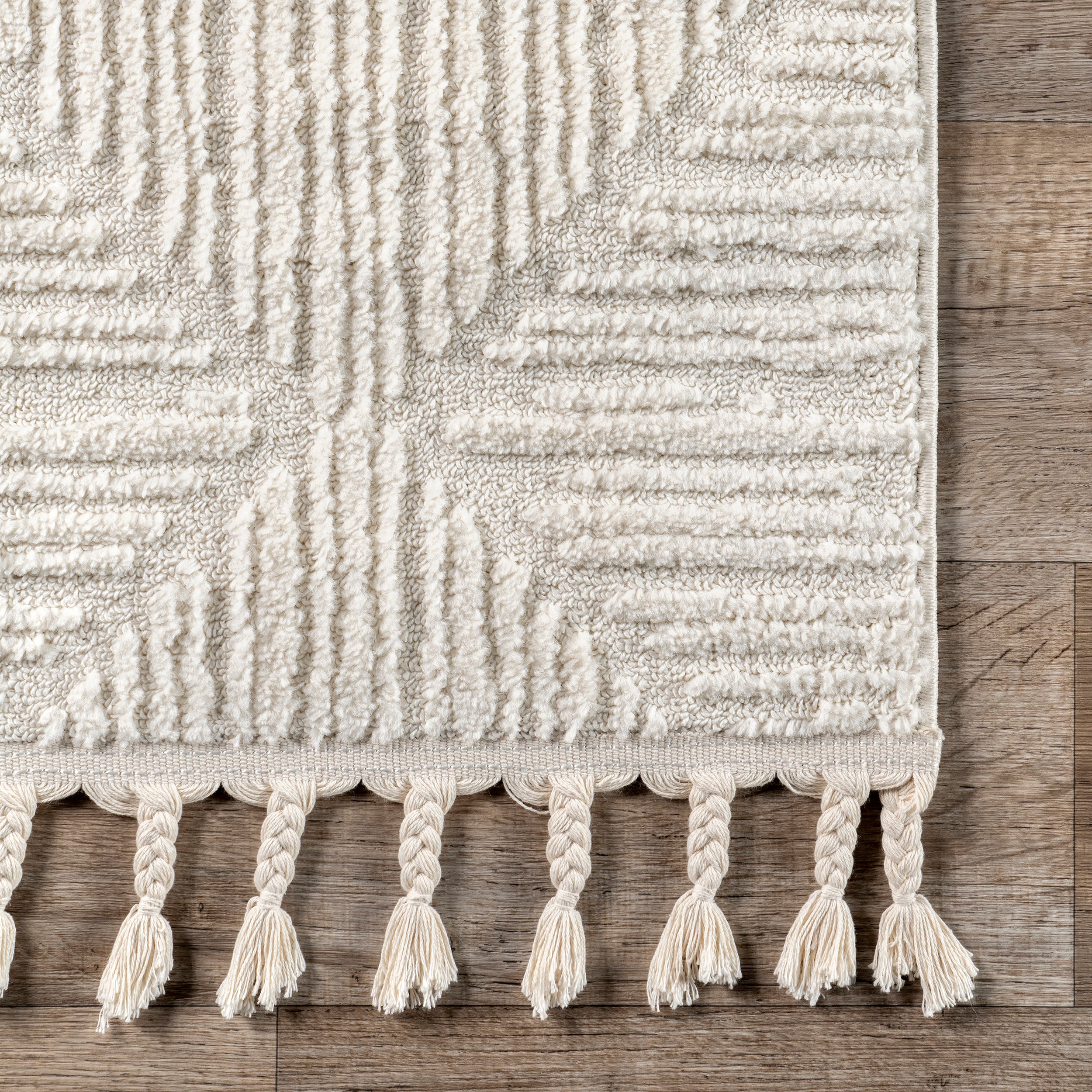 Kerry Textured Geometric Tasseled Area Rug - Image 5