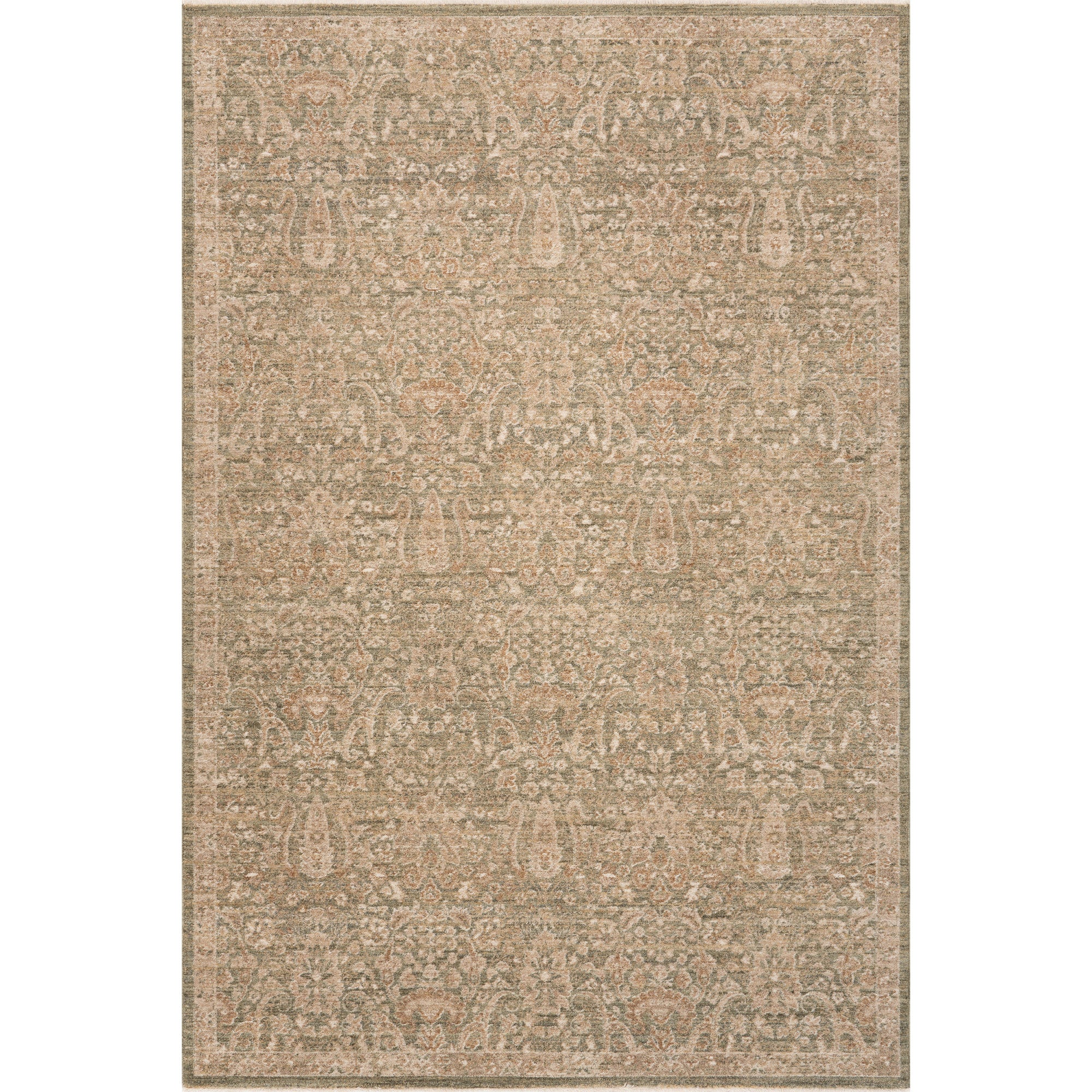 Dahlevia Vintage & Distressed Traditional Area Rug