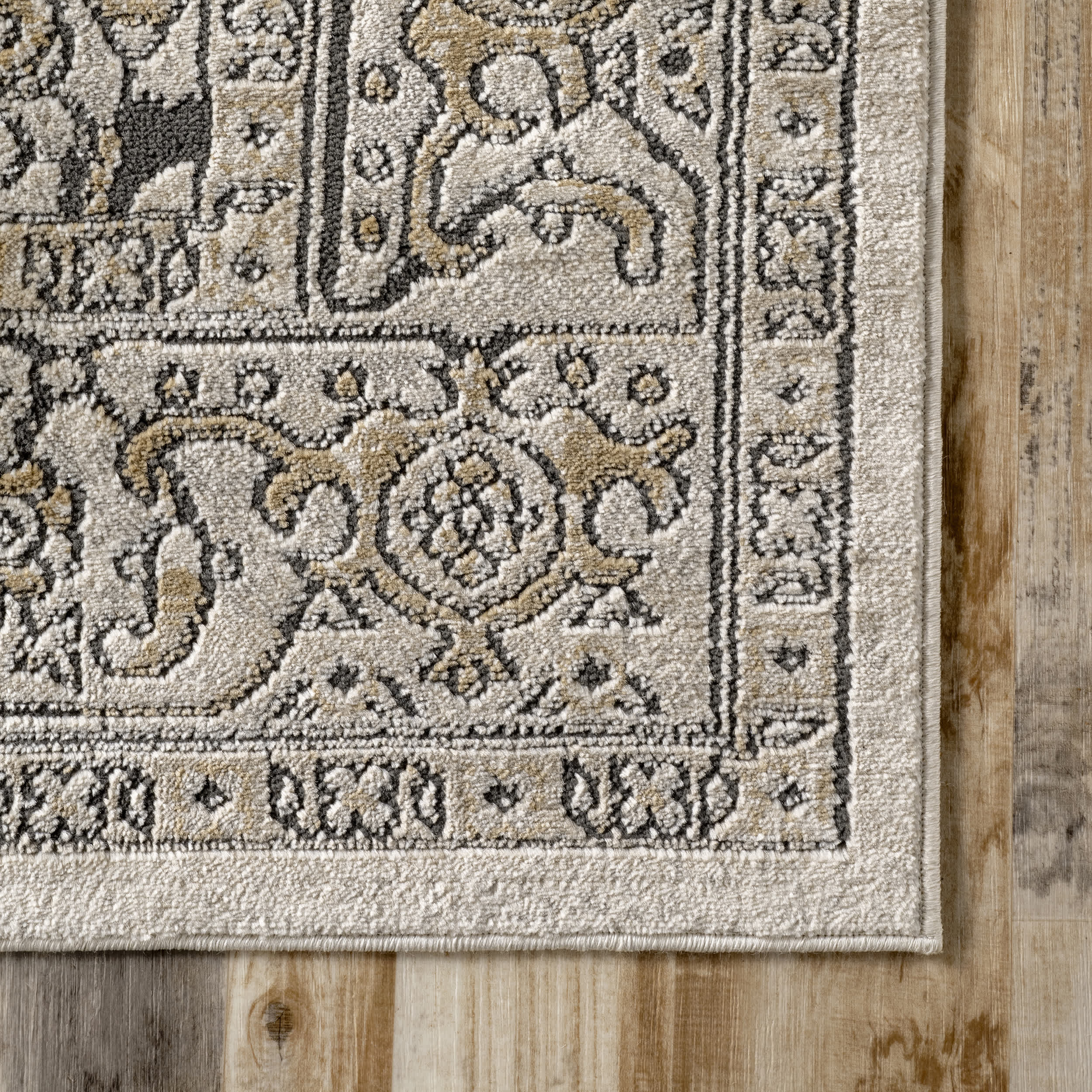 Darcie Traditional Medallion Area Rug - Image 14