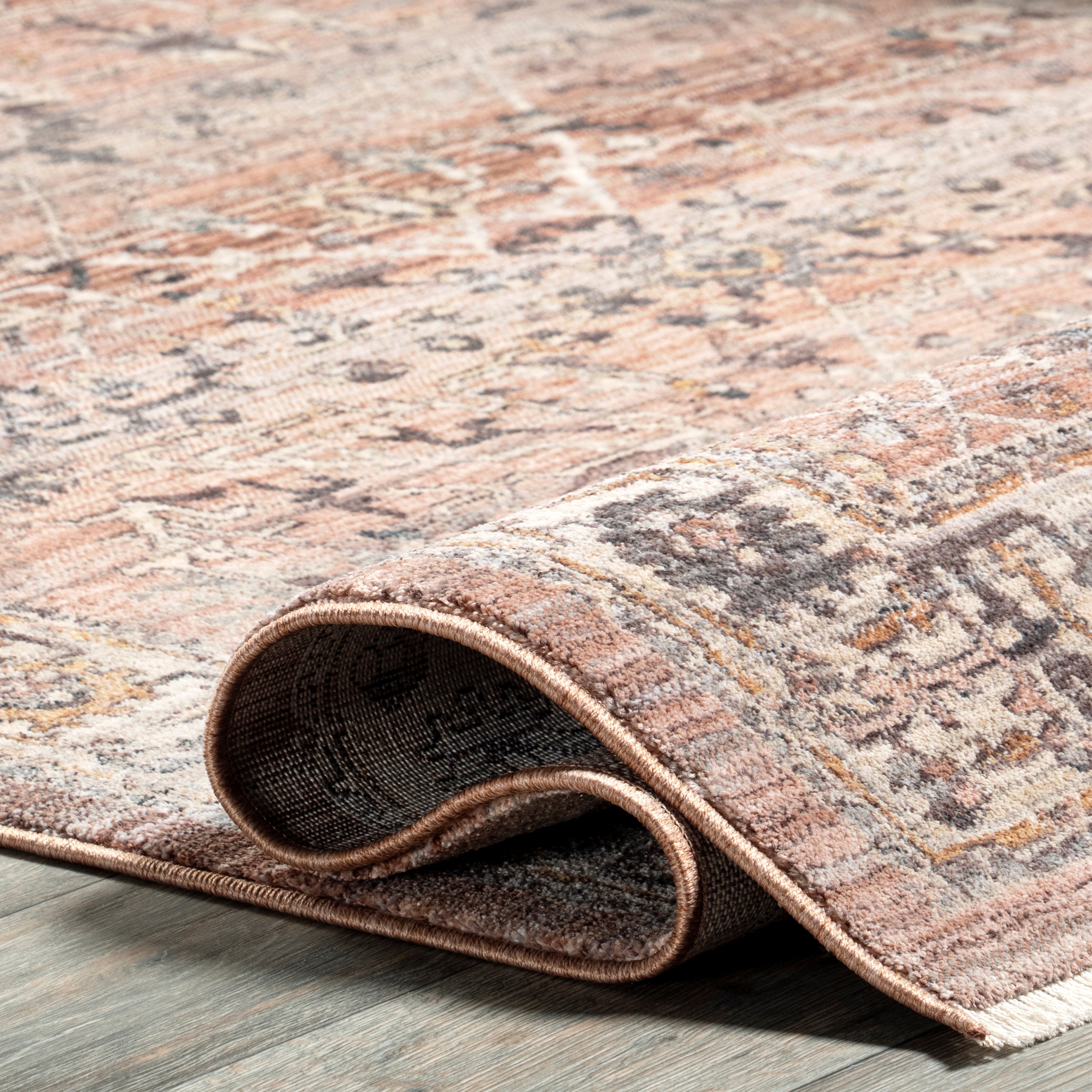 Sorsha Persian Traditional Fringe Area Rug - Image 4