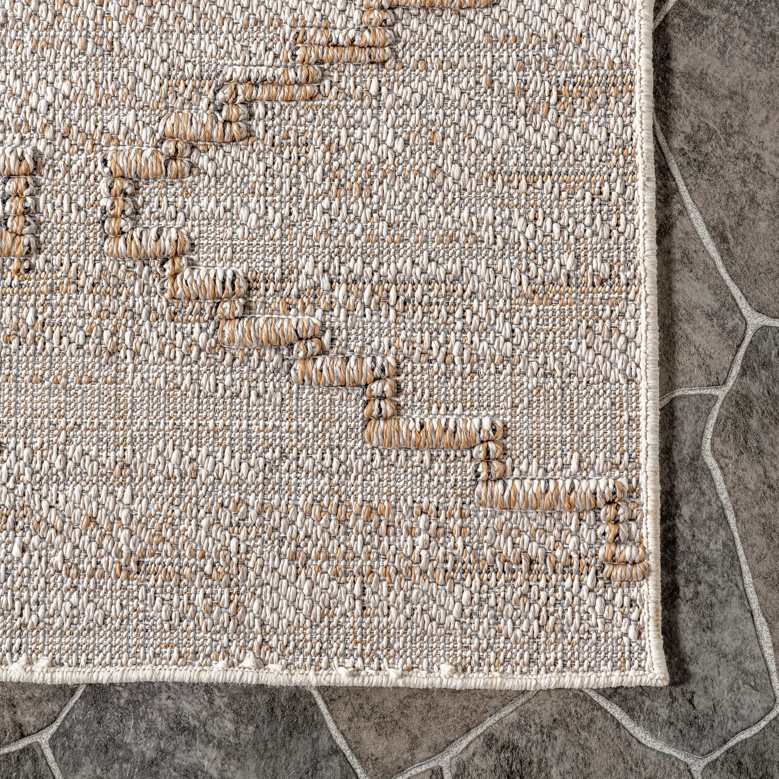 Izetta Southwestern High-Low Indoor/Outdoor Area Rug - Image 5