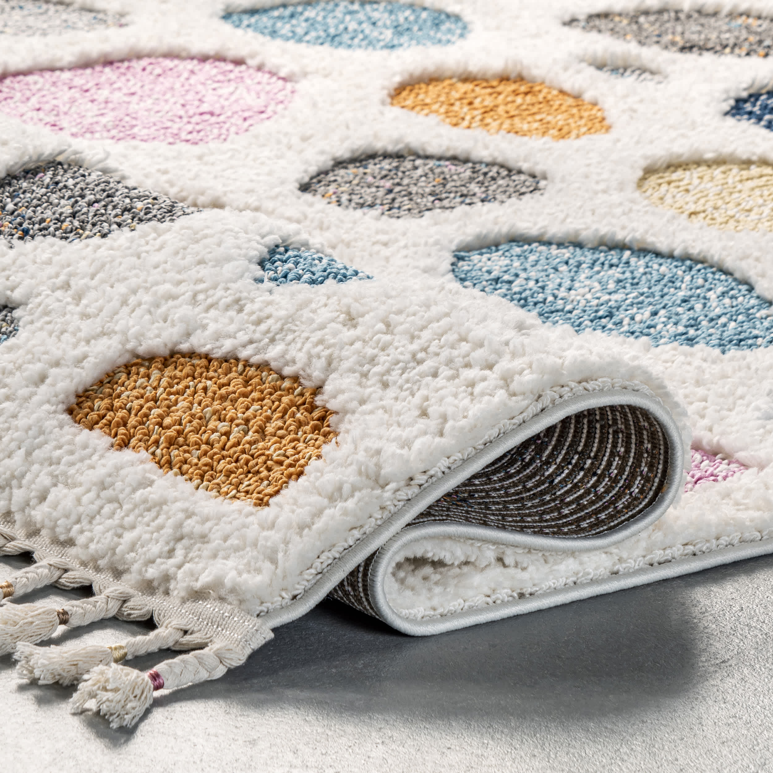 Maybelle Braided Tassle Modern Area Rug - Image 4
