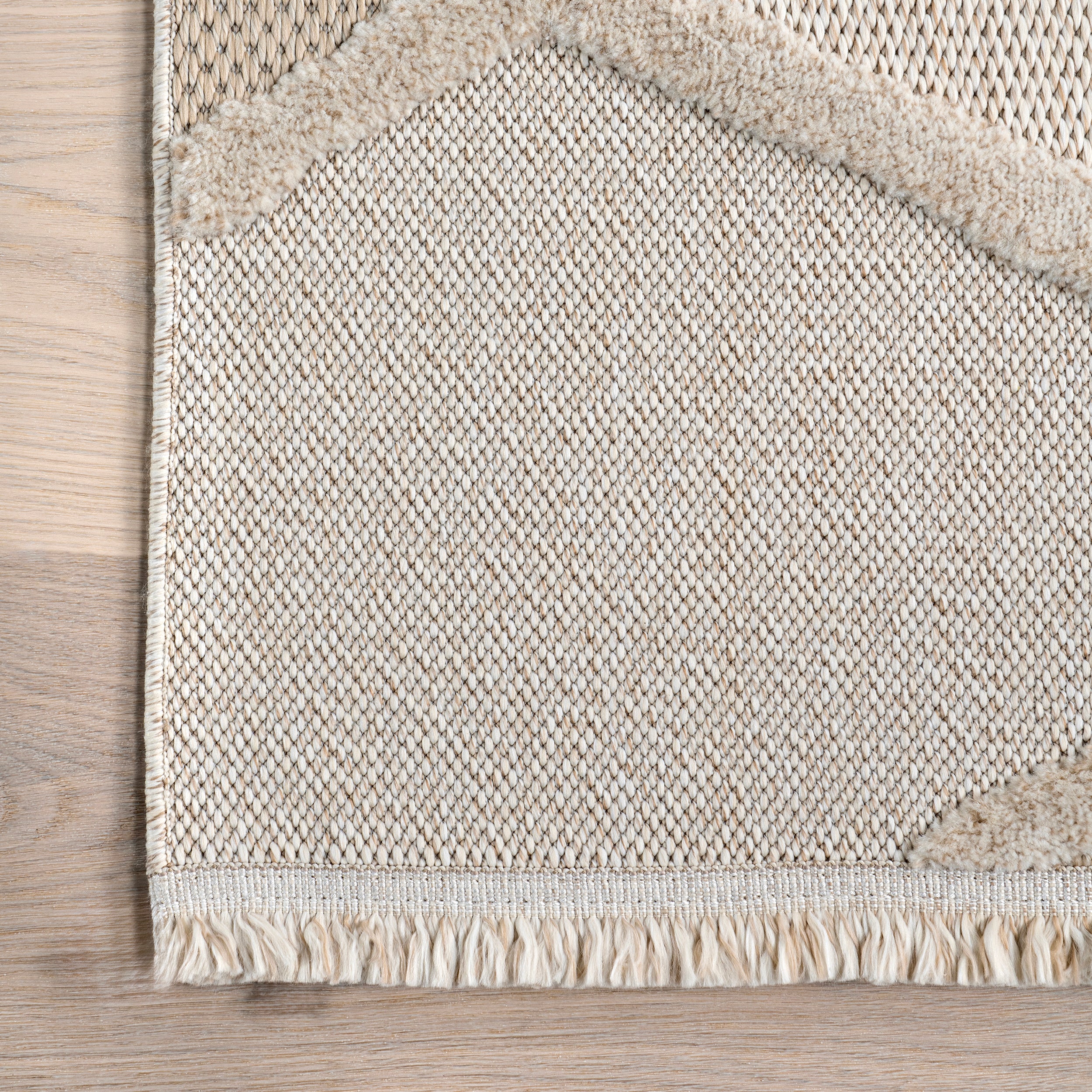Ginevra Modern Lattice Fringe Area Rug - Image 5