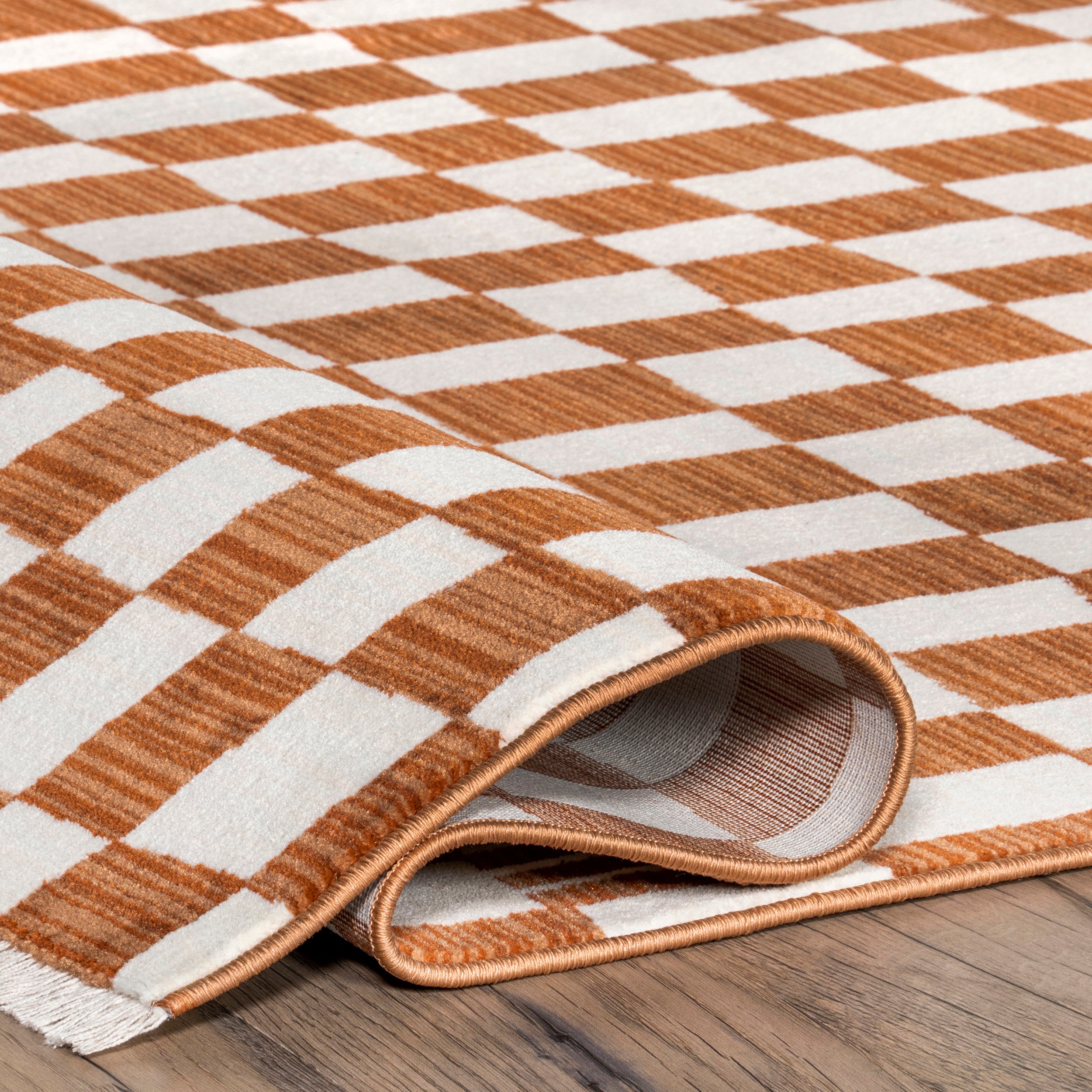 Dominique Abstract Checkered Fringe Area Rug - Image 13