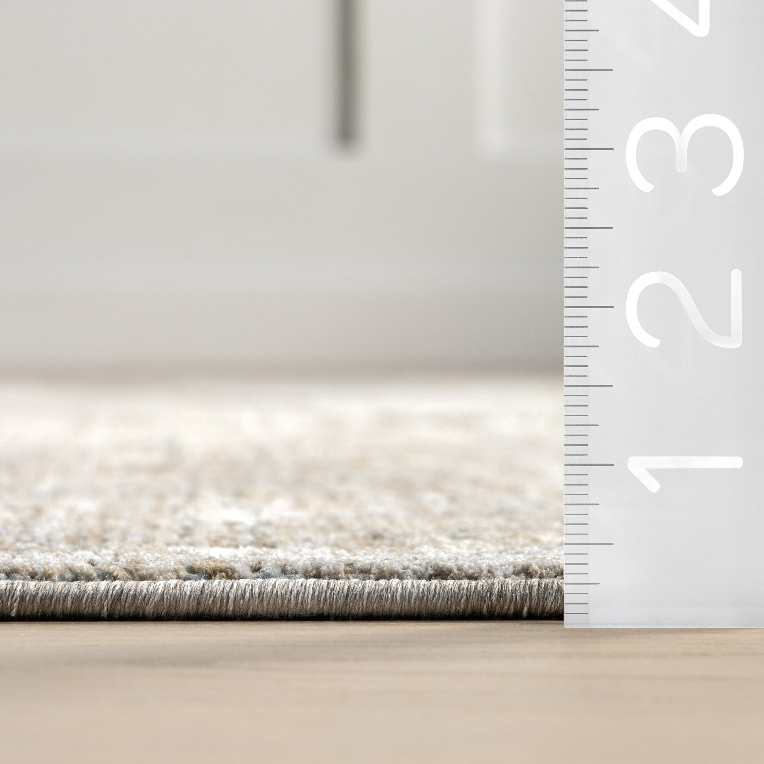 Griselda Medallion Fringe Area Rug - Image 3