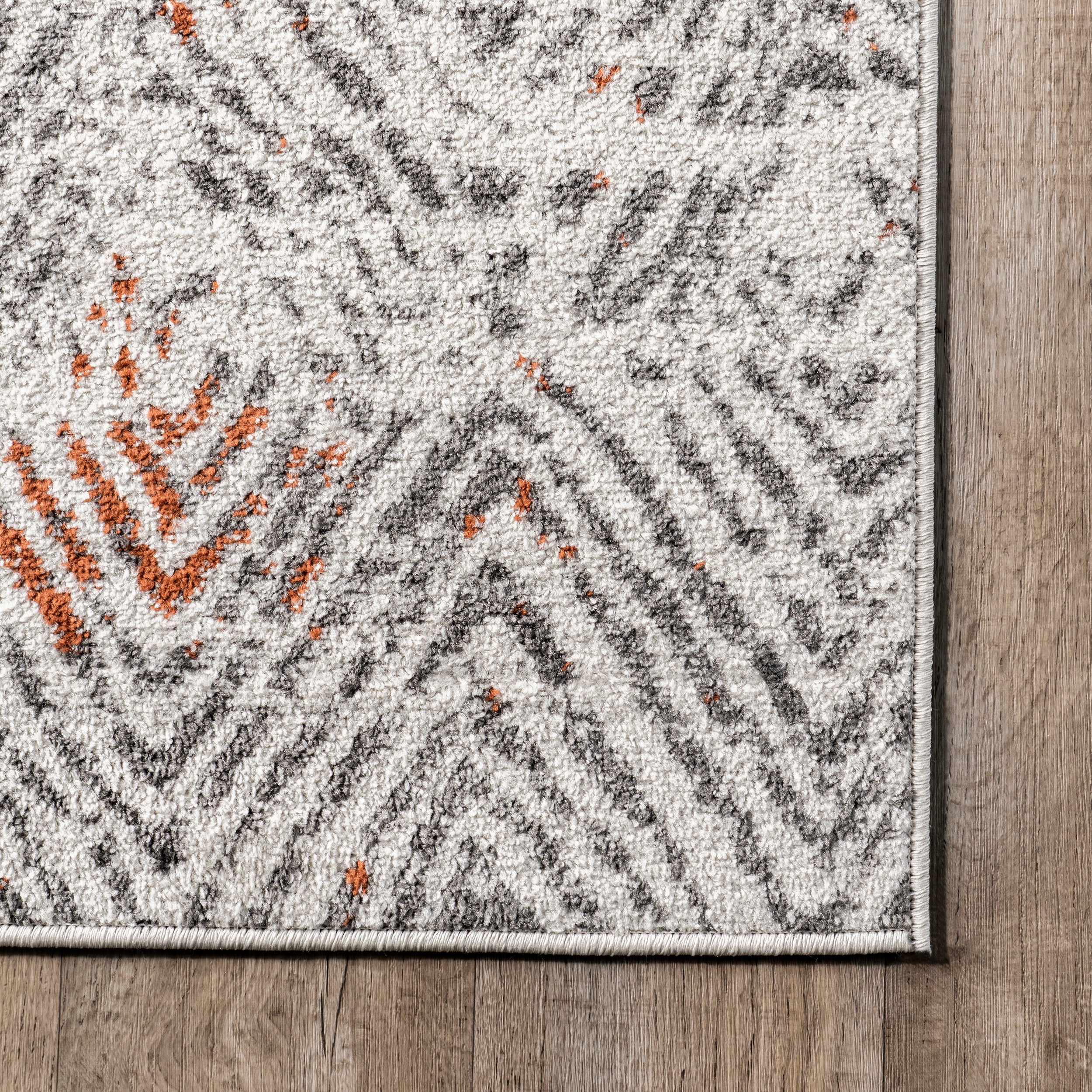 Cathrine Geometric Distressed Area Rug - Image 5