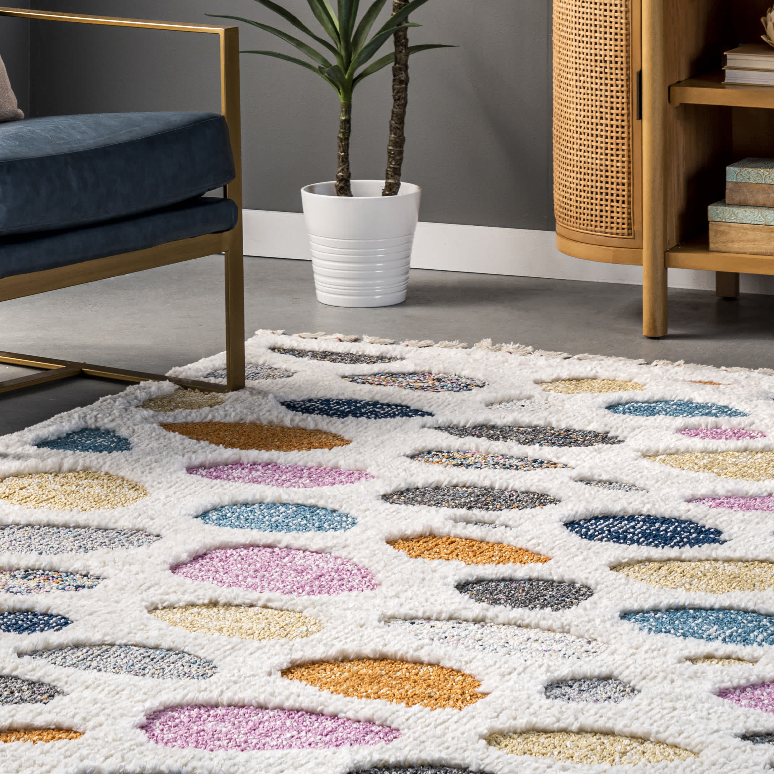 Maybelle Braided Tassle Modern Area Rug - Image 9