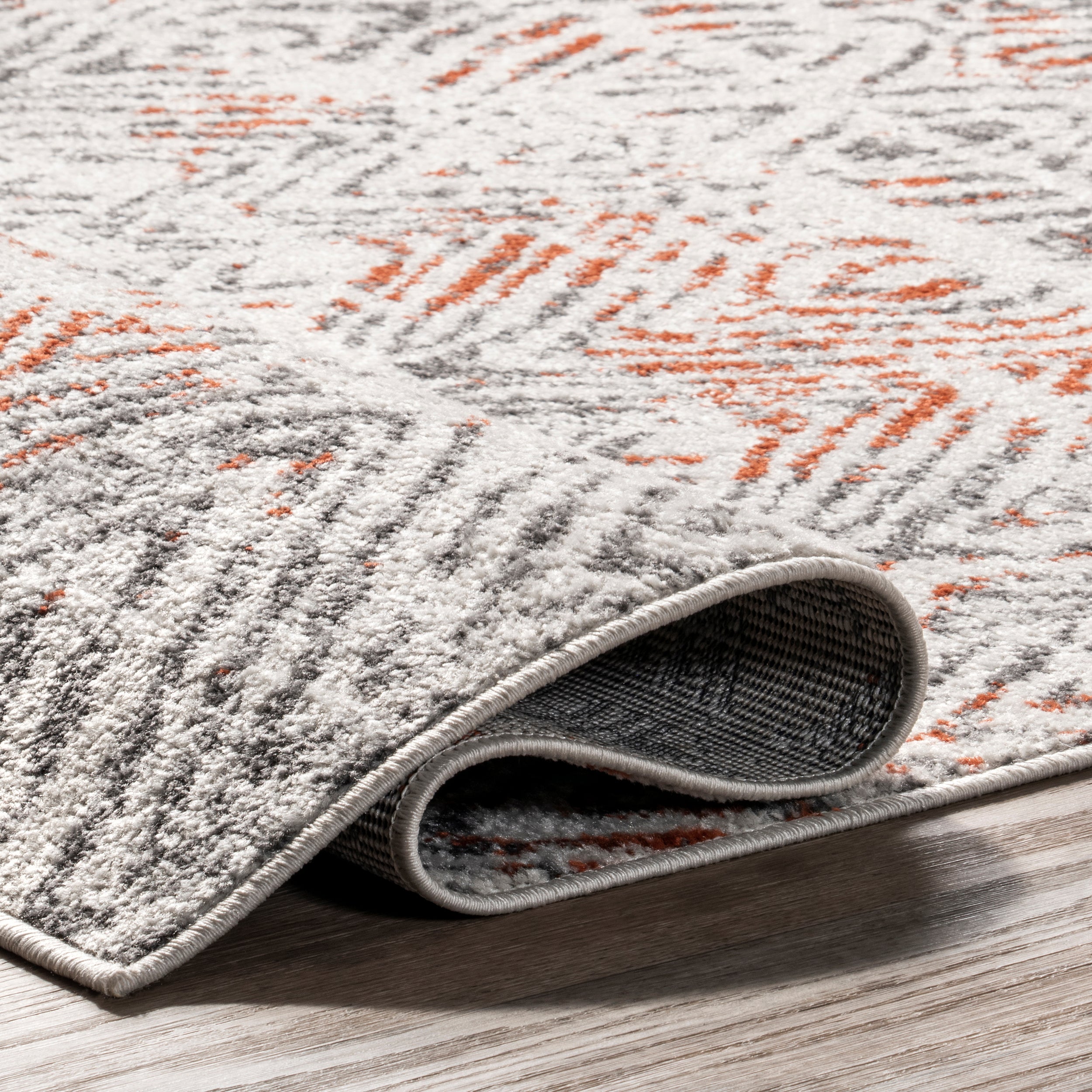 Cathrine Geometric Distressed Area Rug - Image 4