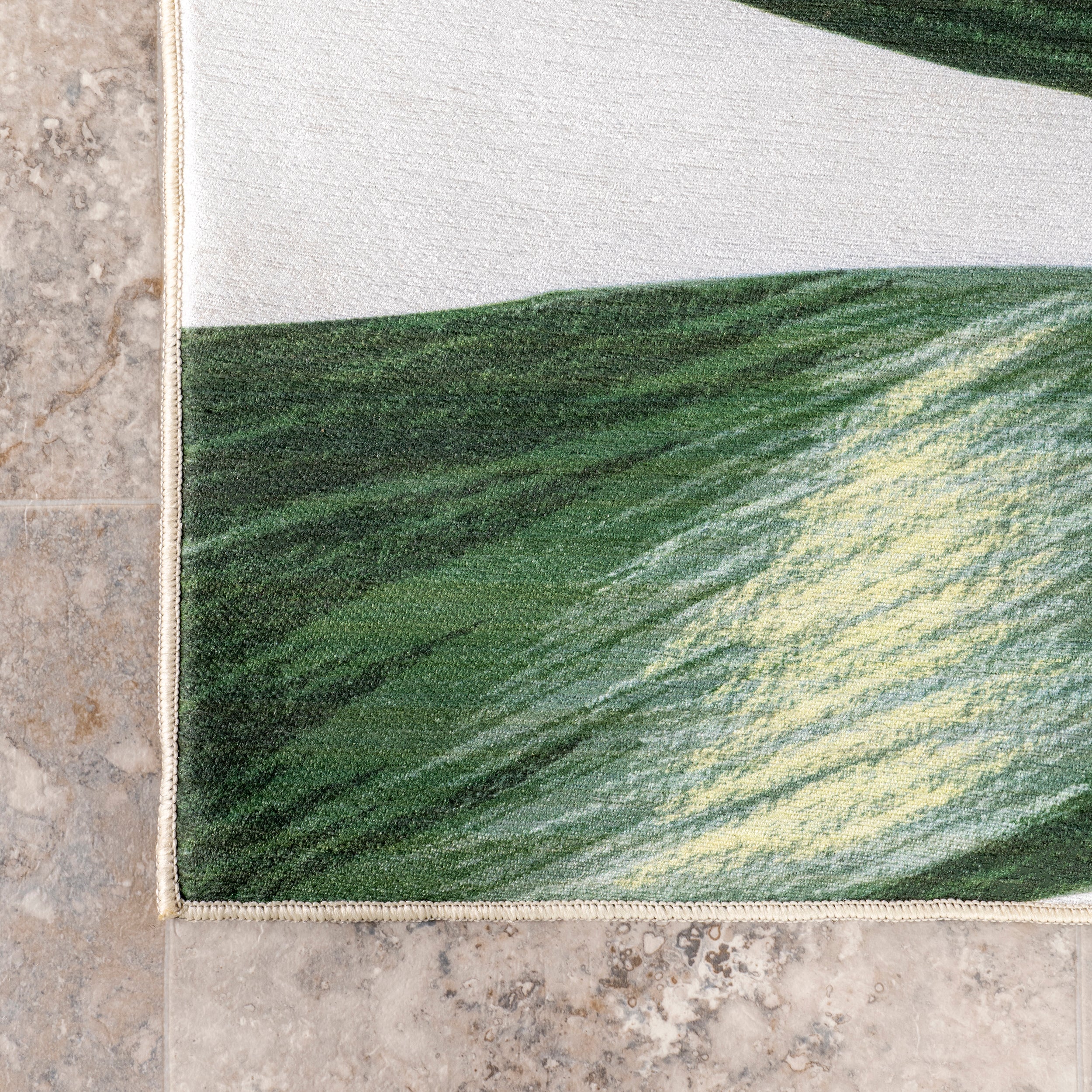 Taka Palm Indoor/Outdoor Machine Washable Area Rug - Image 5