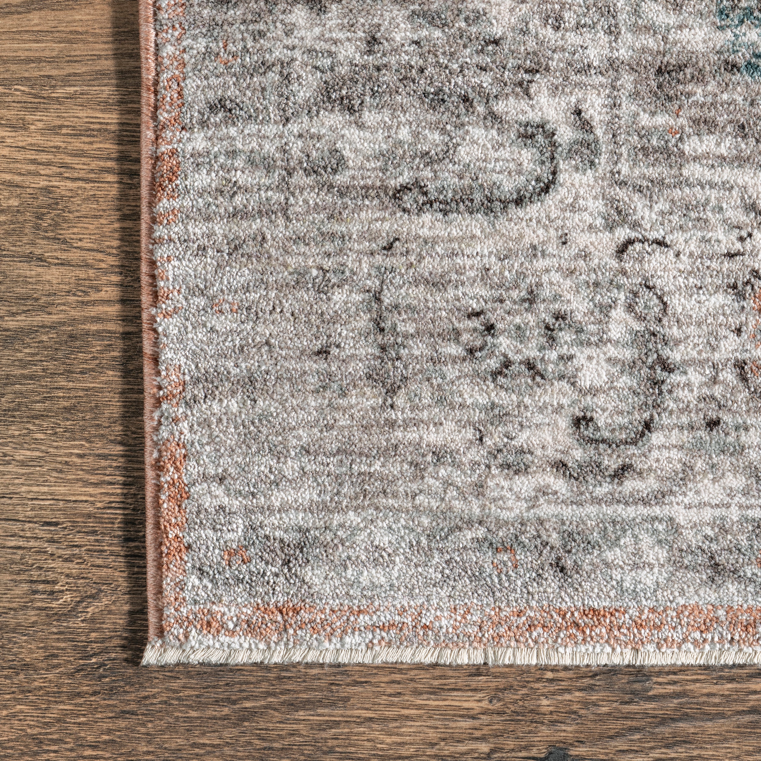 Kayleigh Traditional Faded Fringe Area Rug - Image 5