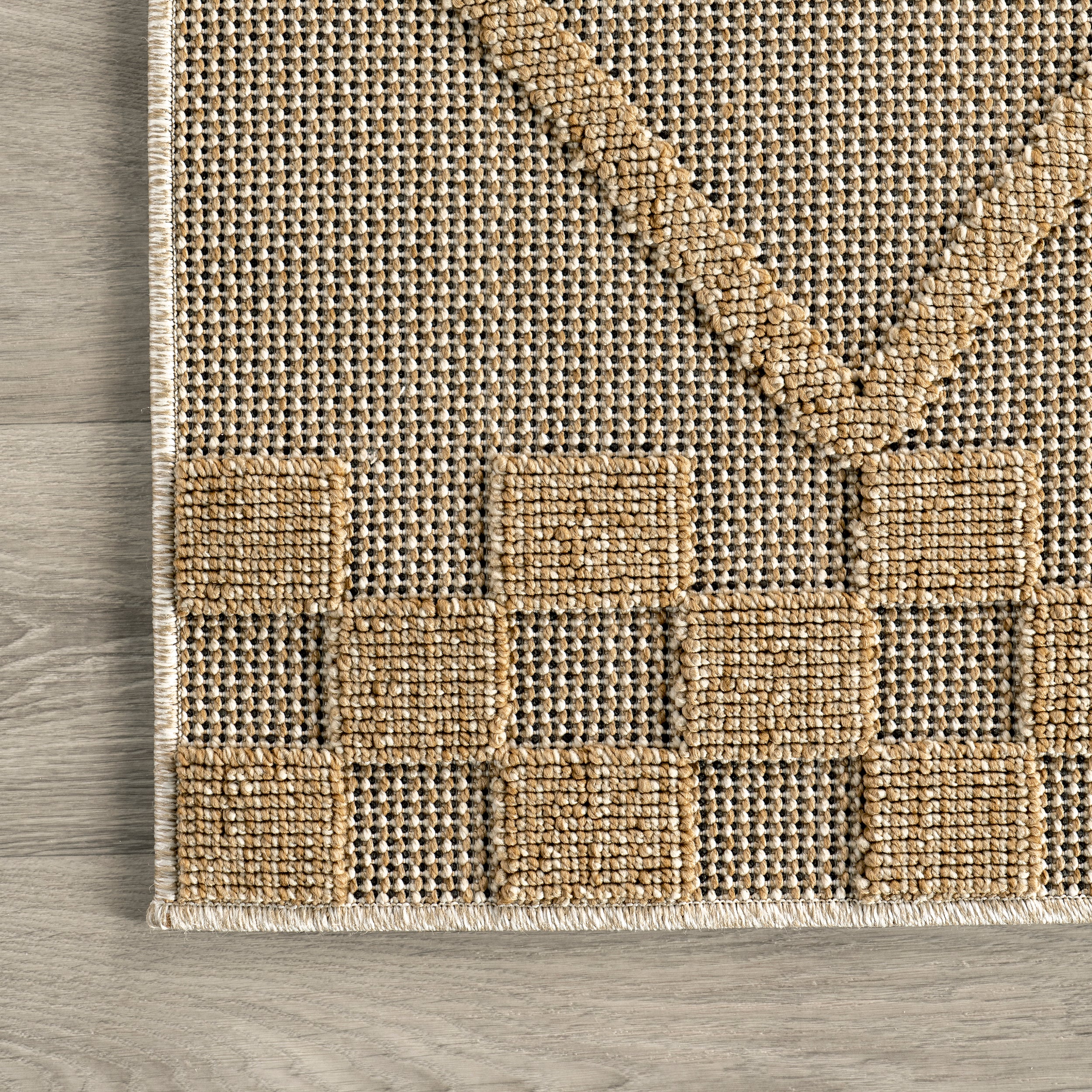 Rhode Raised Lattice Indoor/Outdoor Area Rug - Image 5
