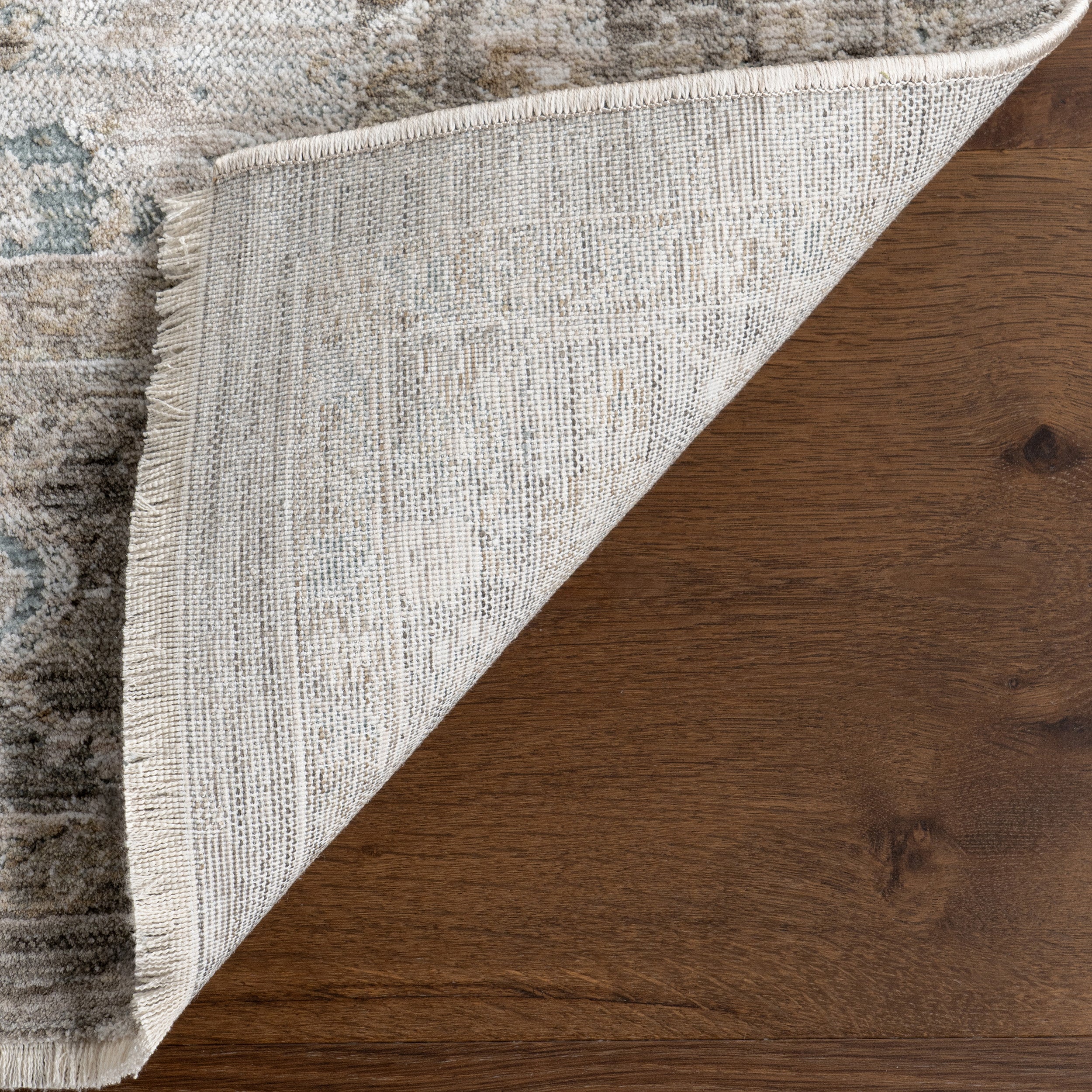 Graciela Medallion Fringe Area Rug - Image 8