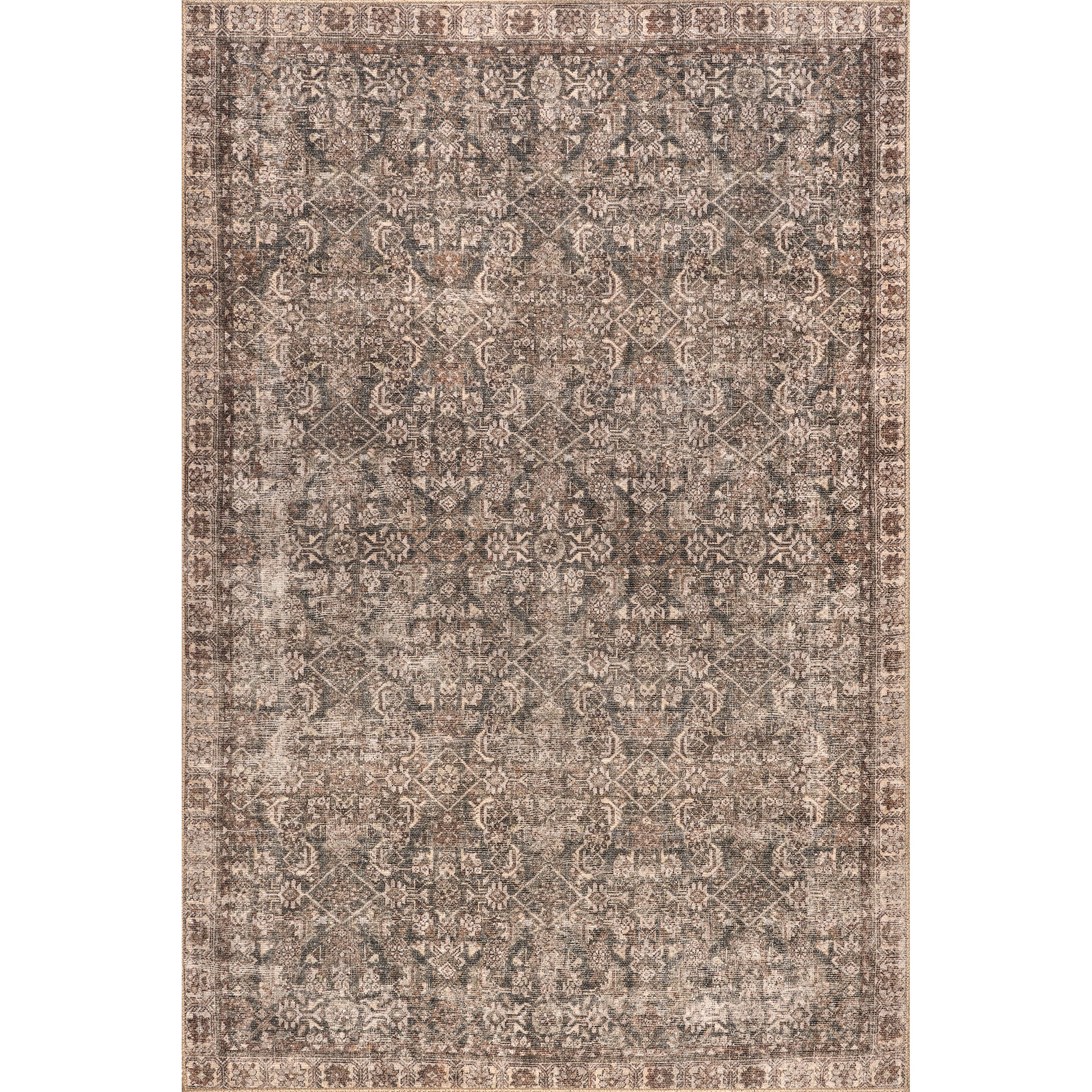 Hillstone Collection Calianna Traditional Vintage Medallion Area Rug